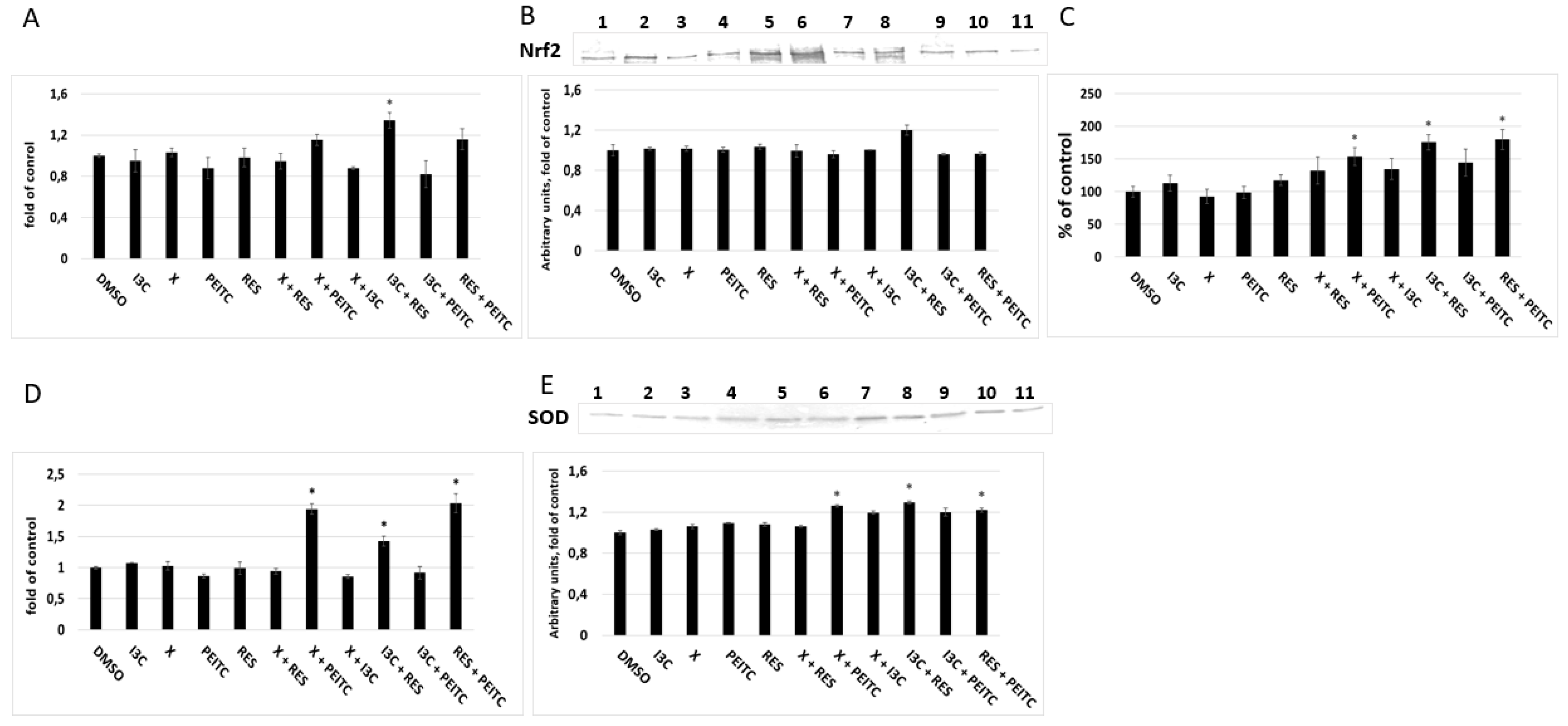 Proceedings 11 00022 g001