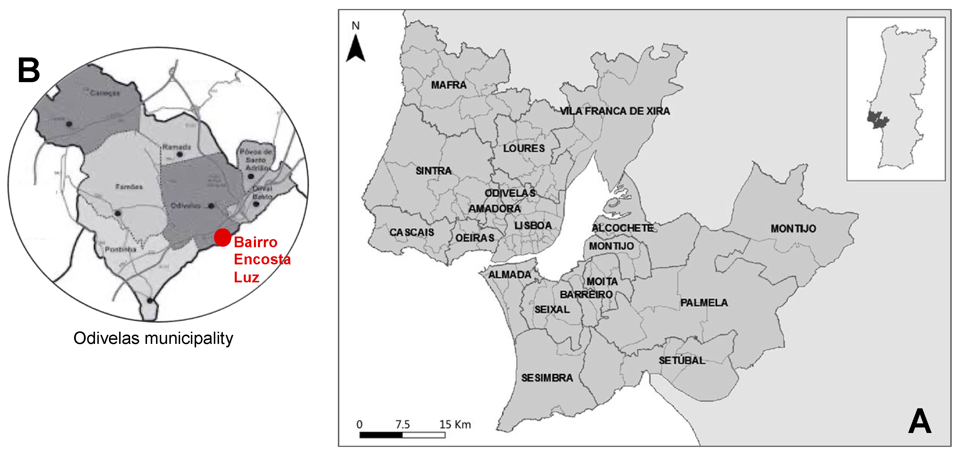 Proceedings 113 00009 g001