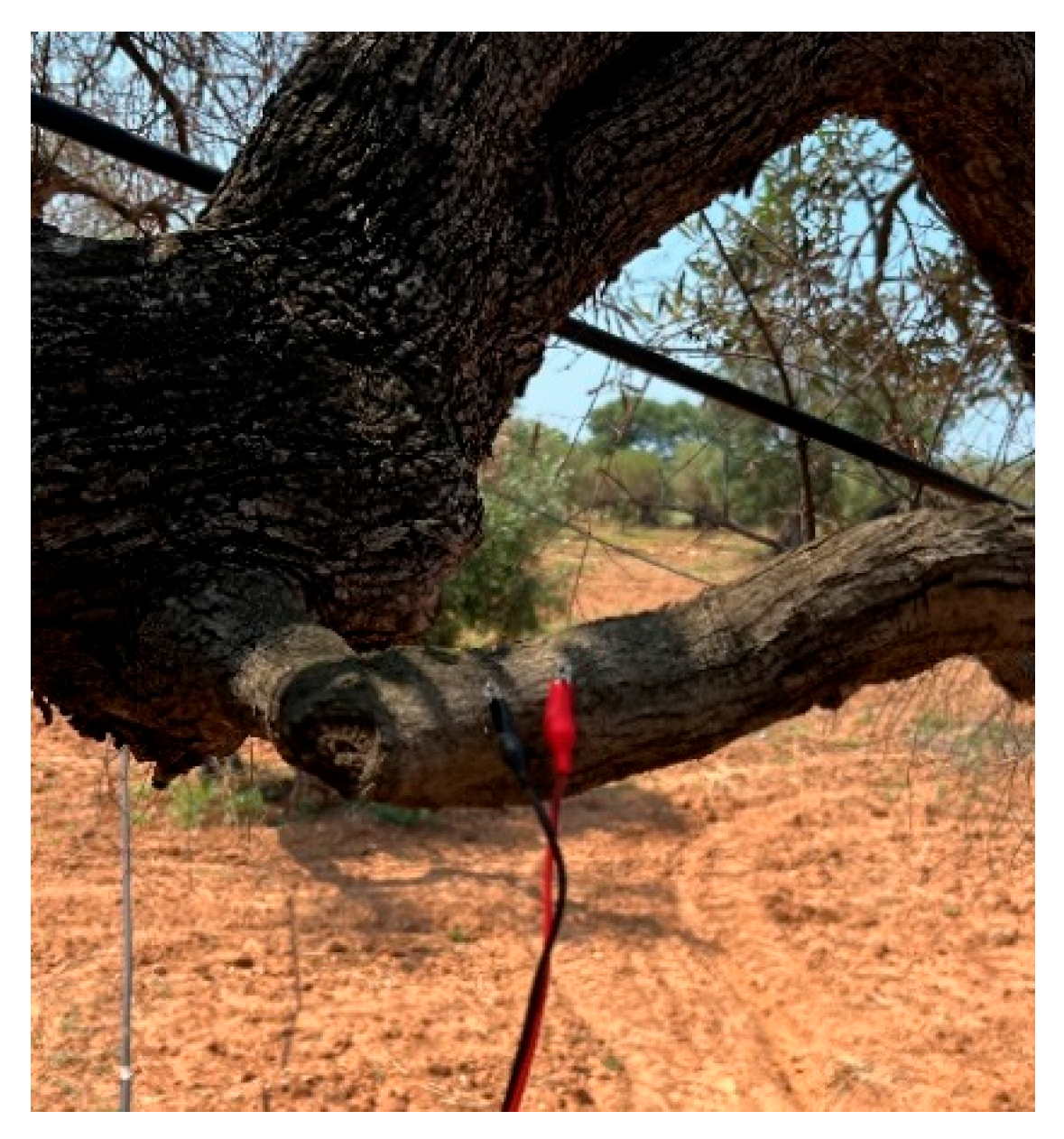 Proceedings 117 00009 g003