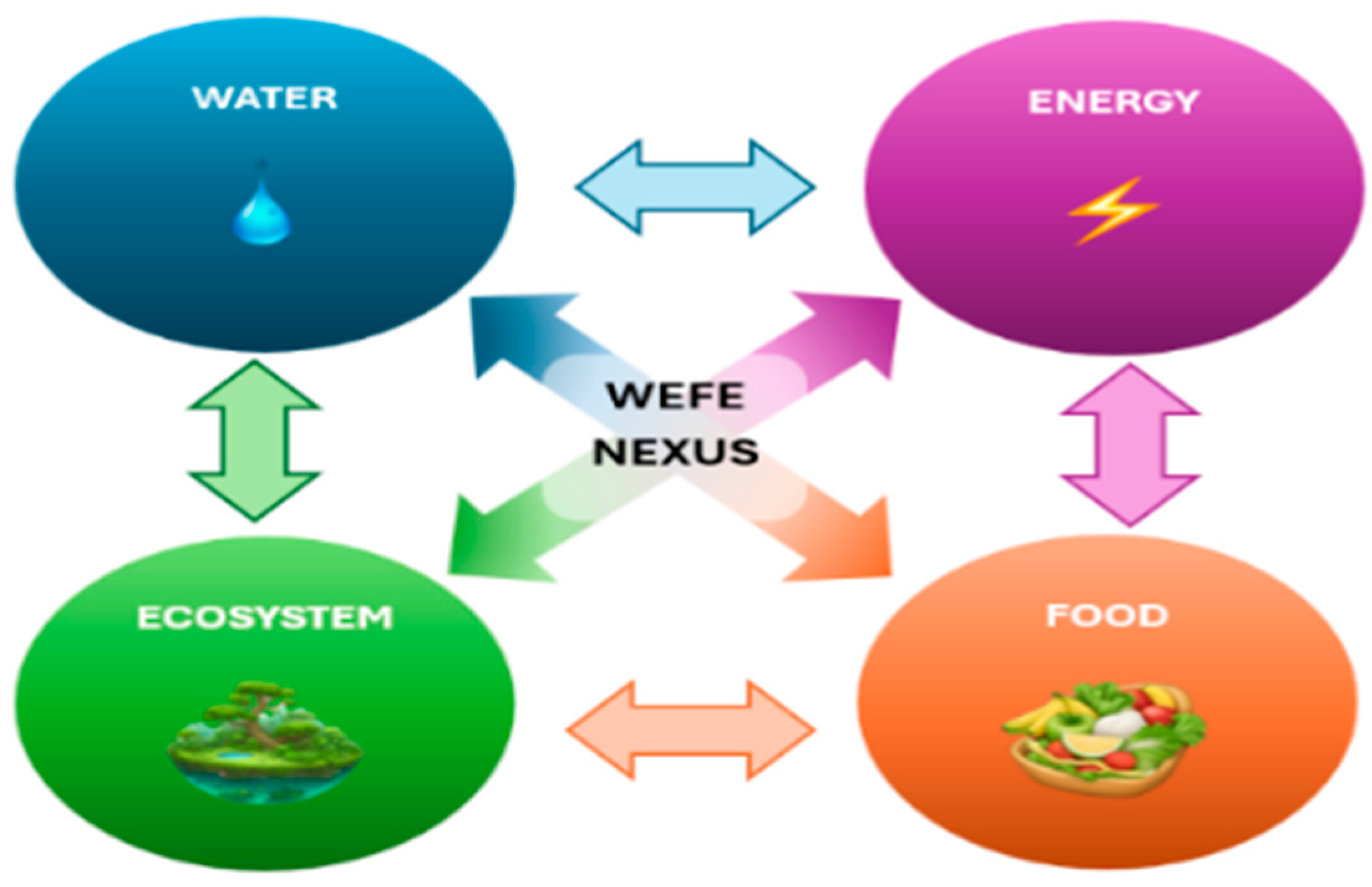 Proceedings 117 00012 g001