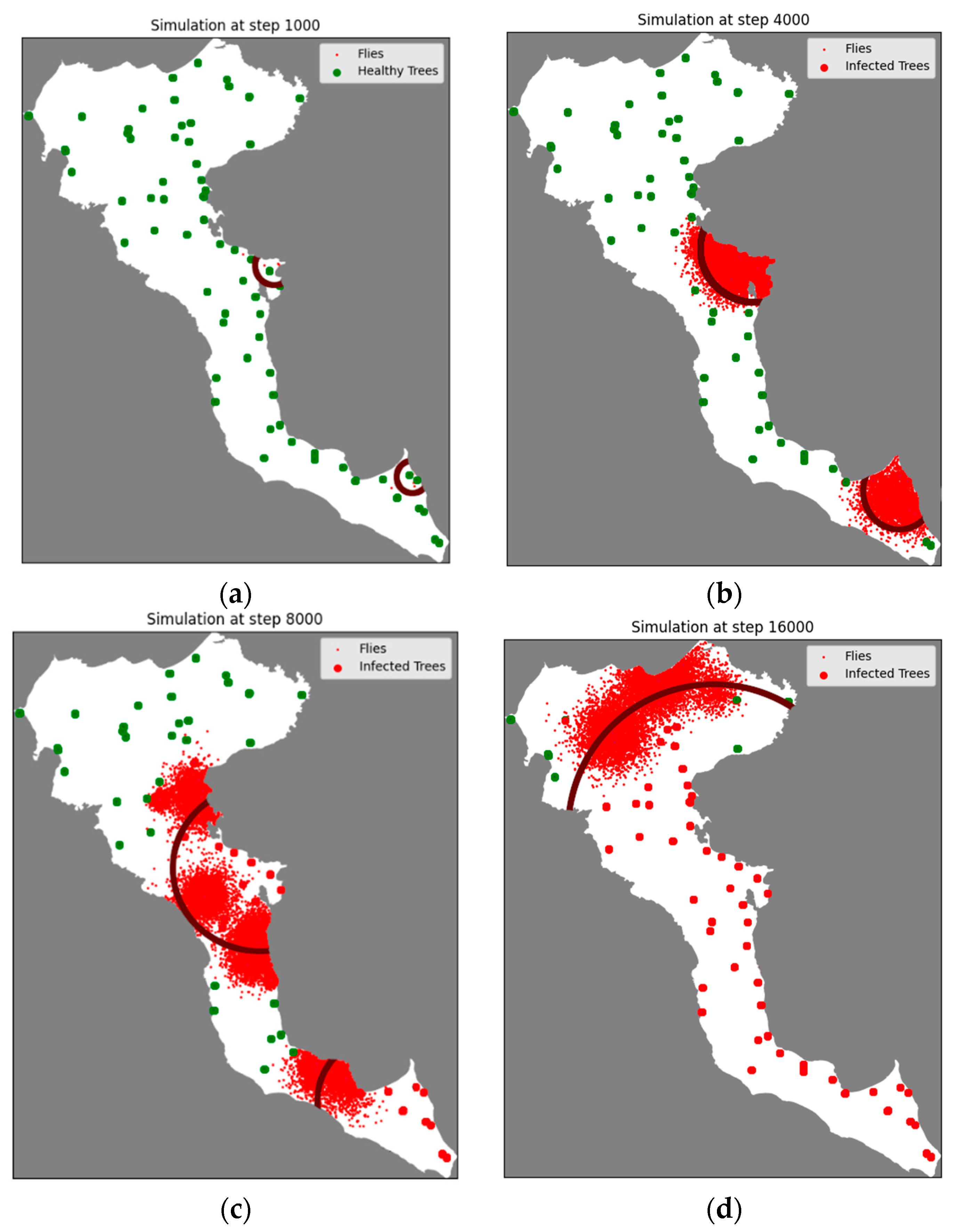 Proceedings 117 00017 g002