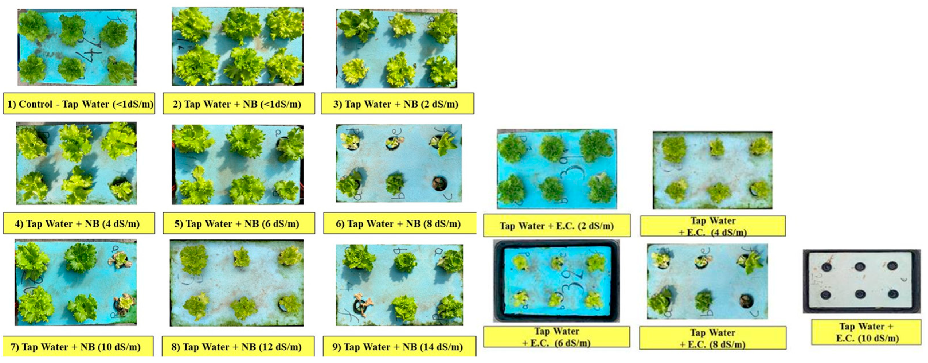 Proceedings 117 00033 g004