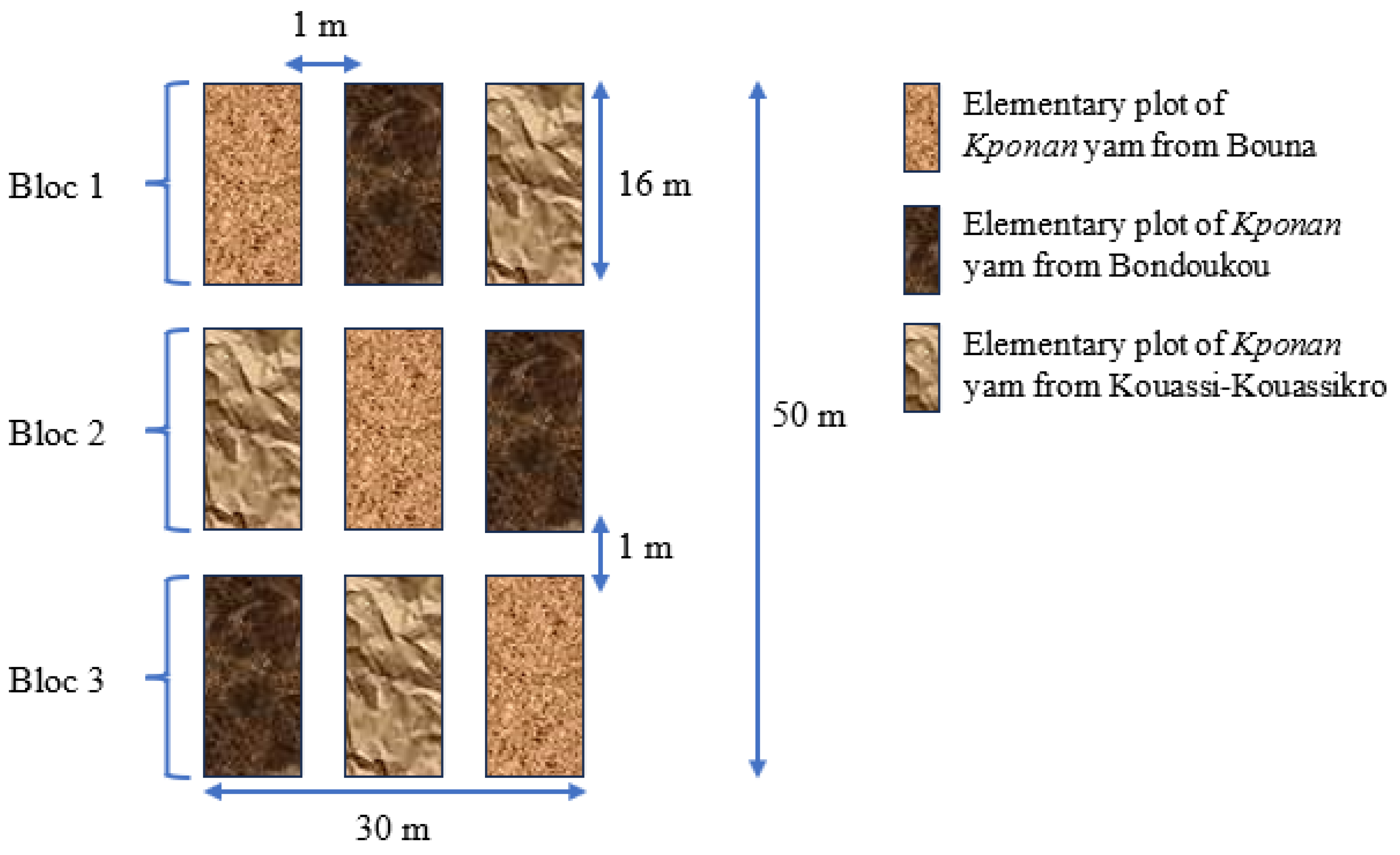 Proceedings 118 00006 g001