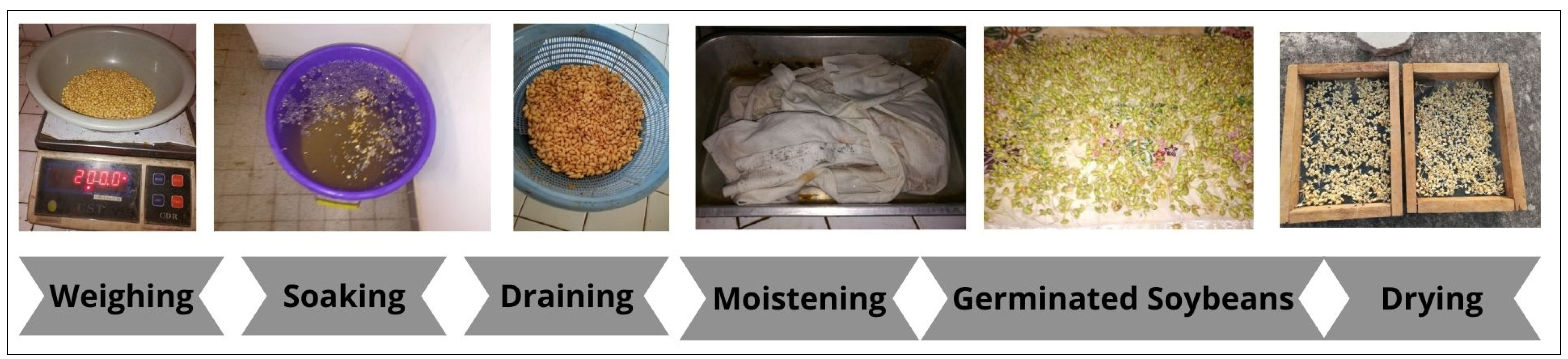 Proceedings 118 00008 g001