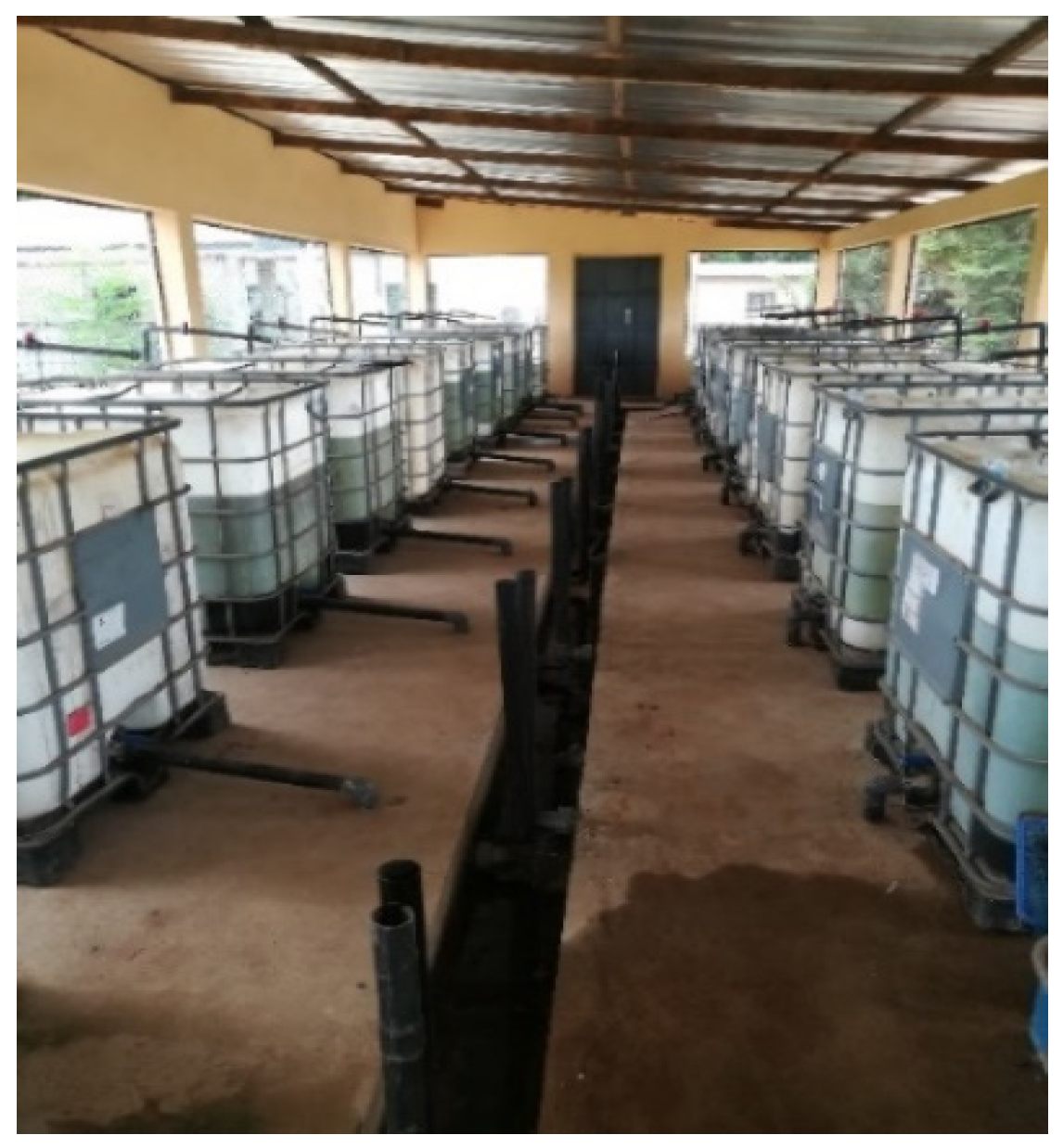 Proceedings 118 00008 g002