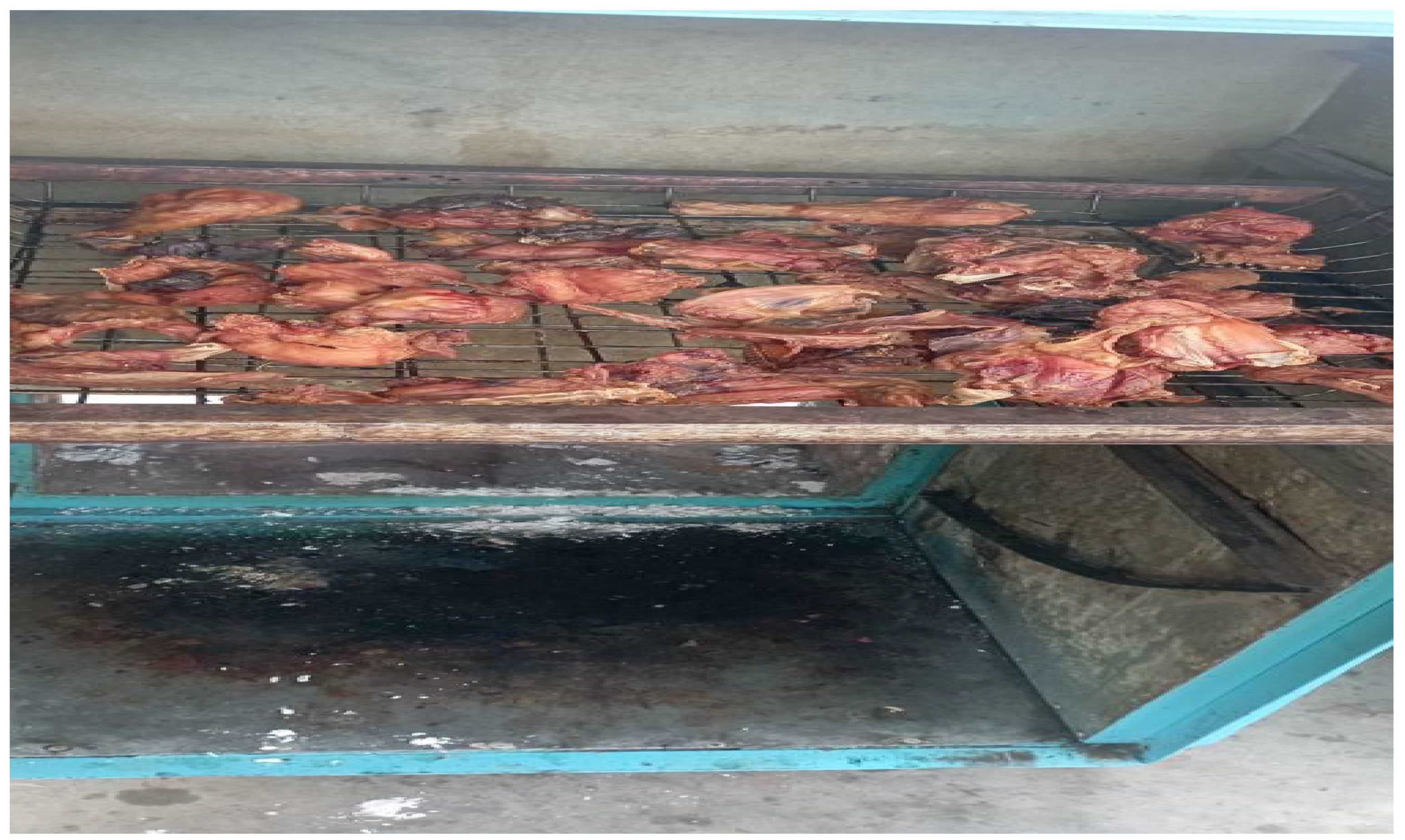 Proceedings 118 00011 g003