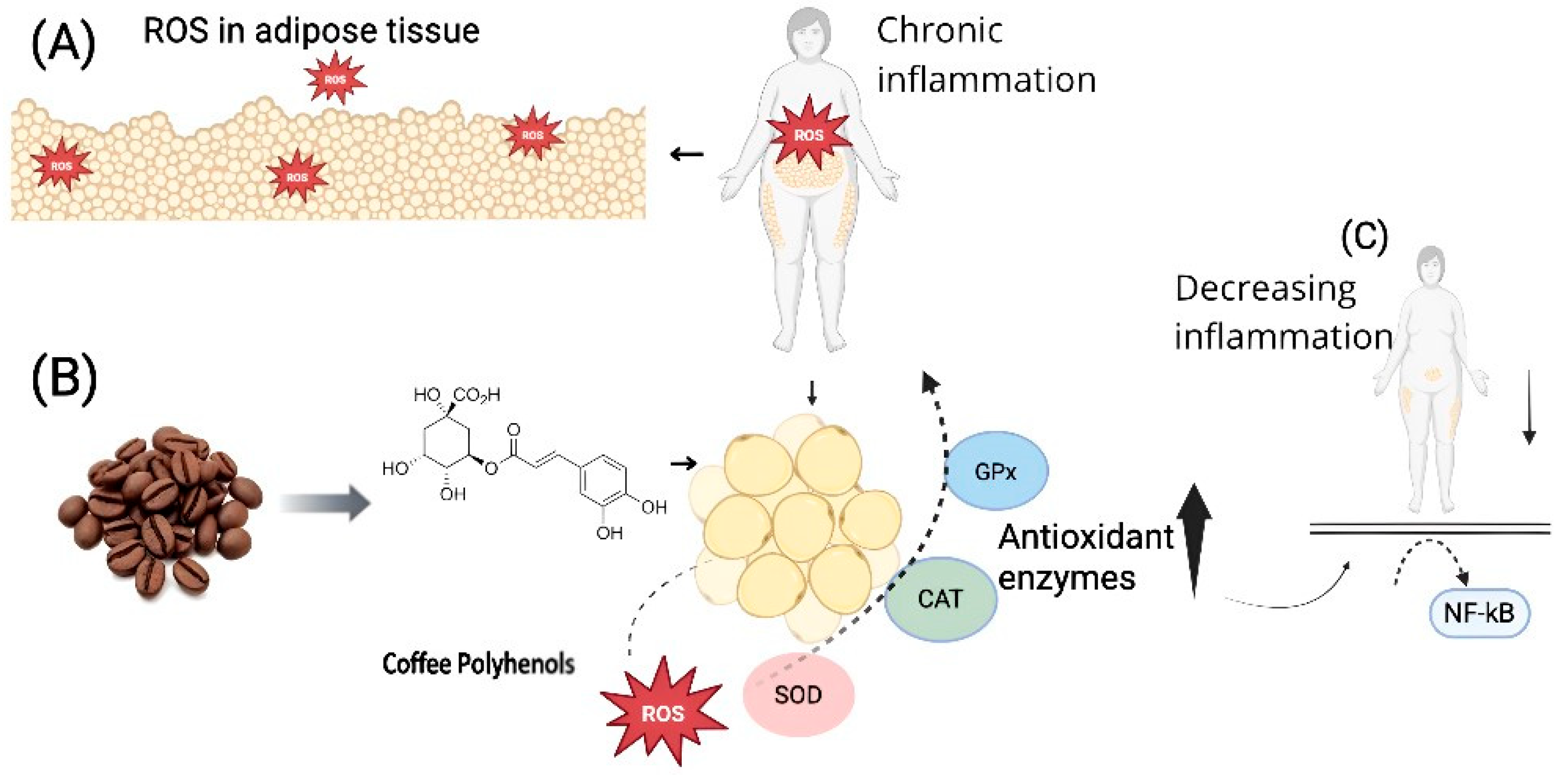 Proceedings 119 00009 g001