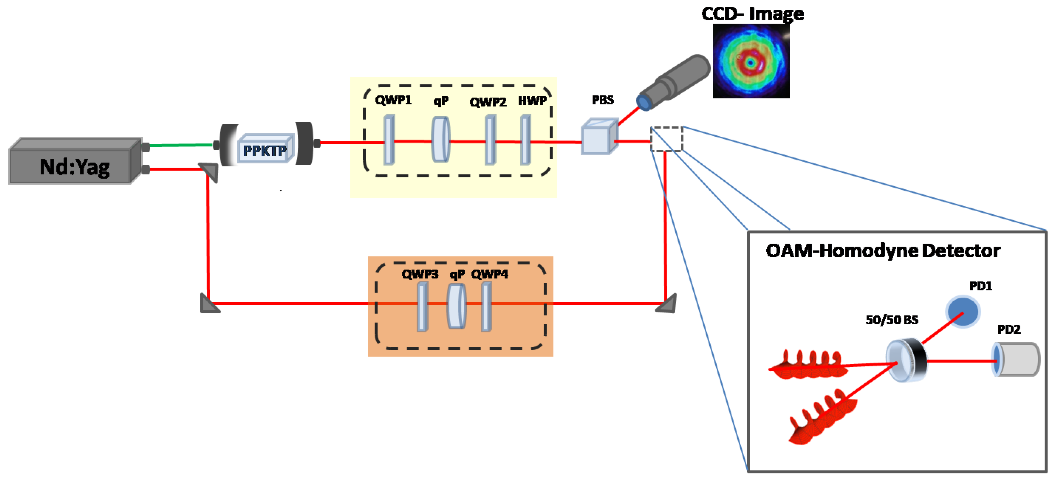 Proceedings 12 00007 g001