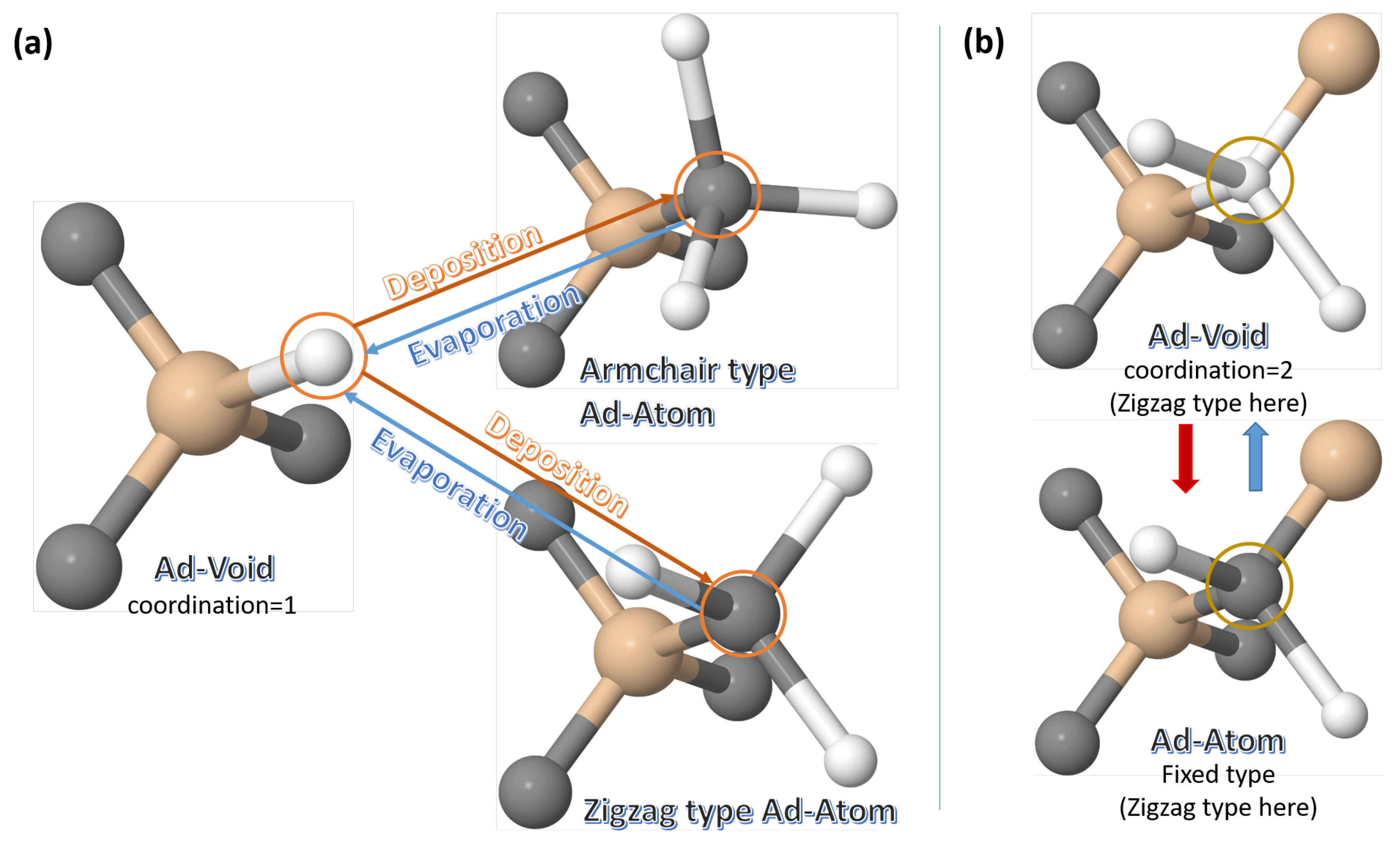 Proceedings 12 00032 g001