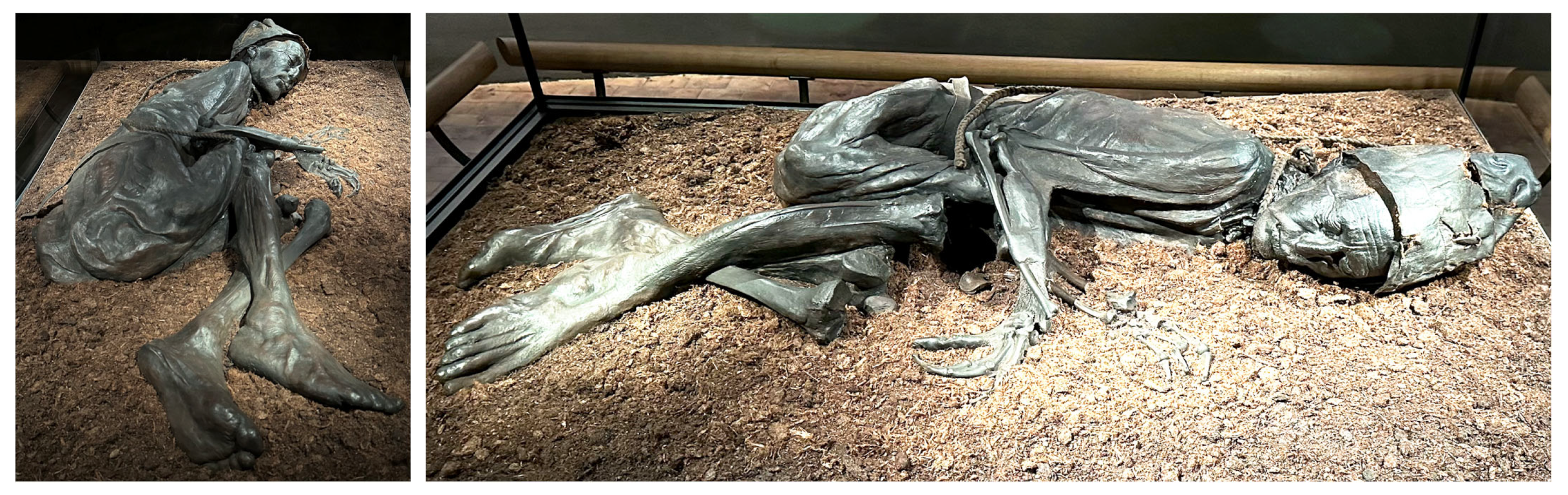 Proceedings 126 00019 g002