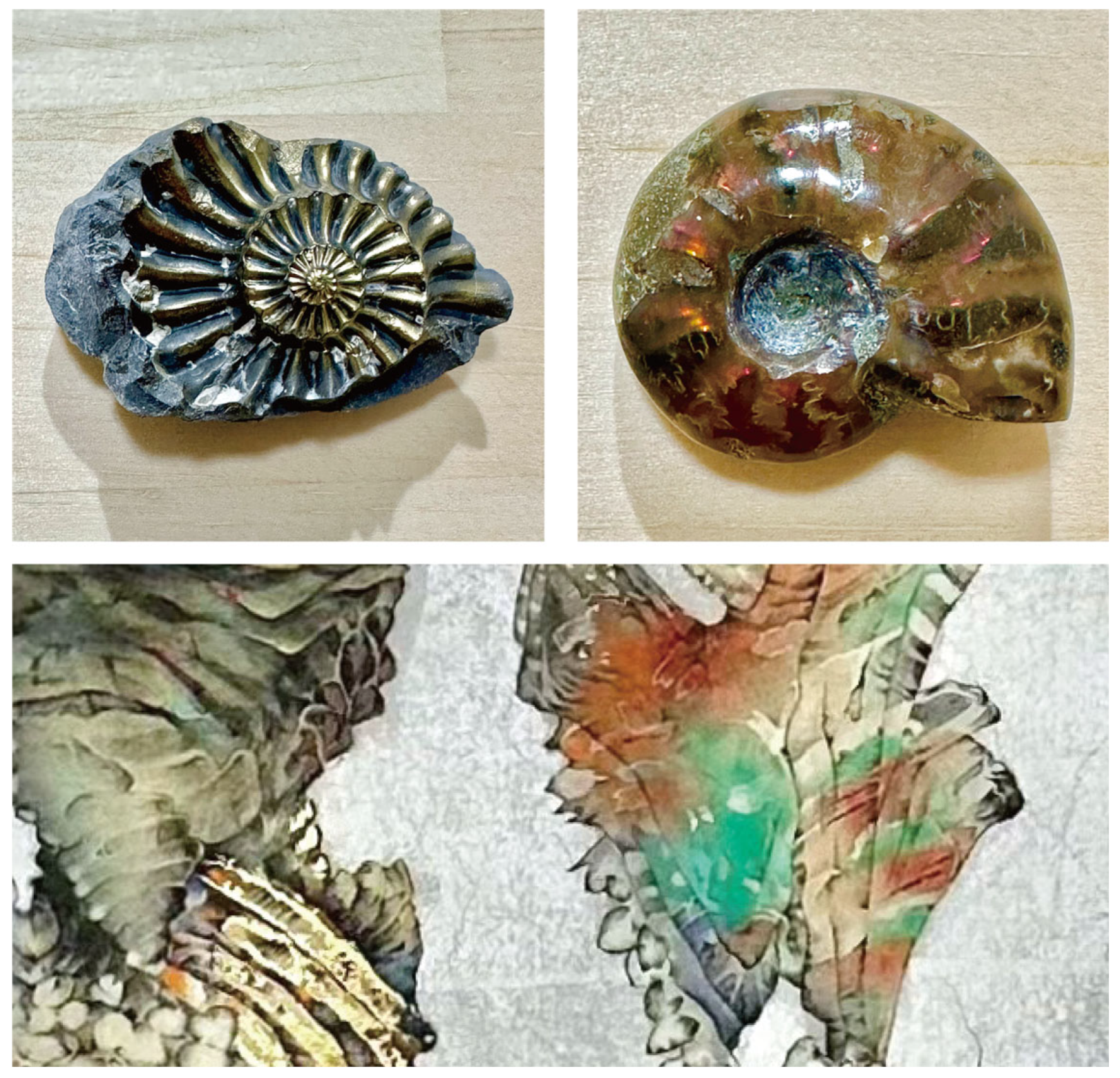 Proceedings 126 00019 g008