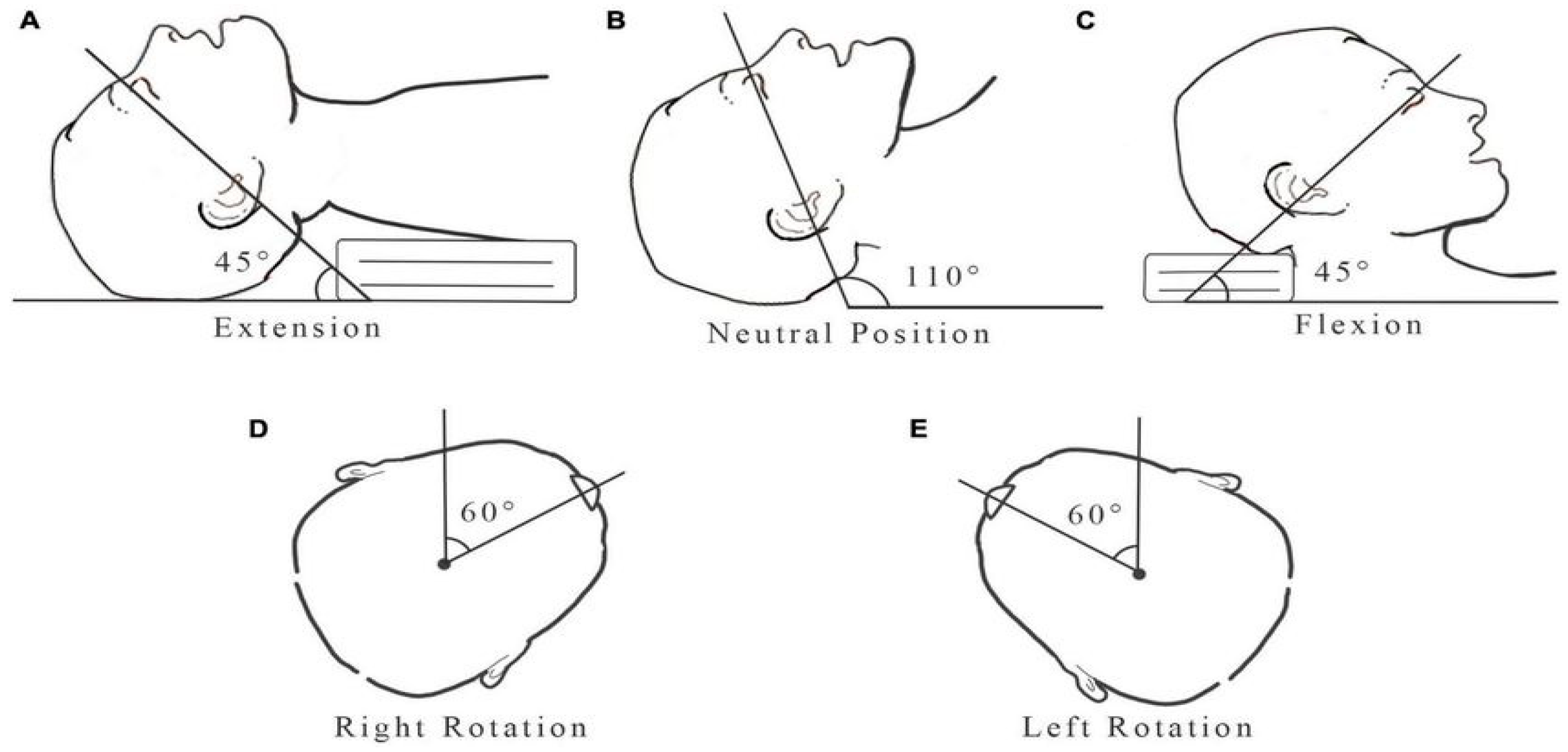 Proceedings 127 00032 g001