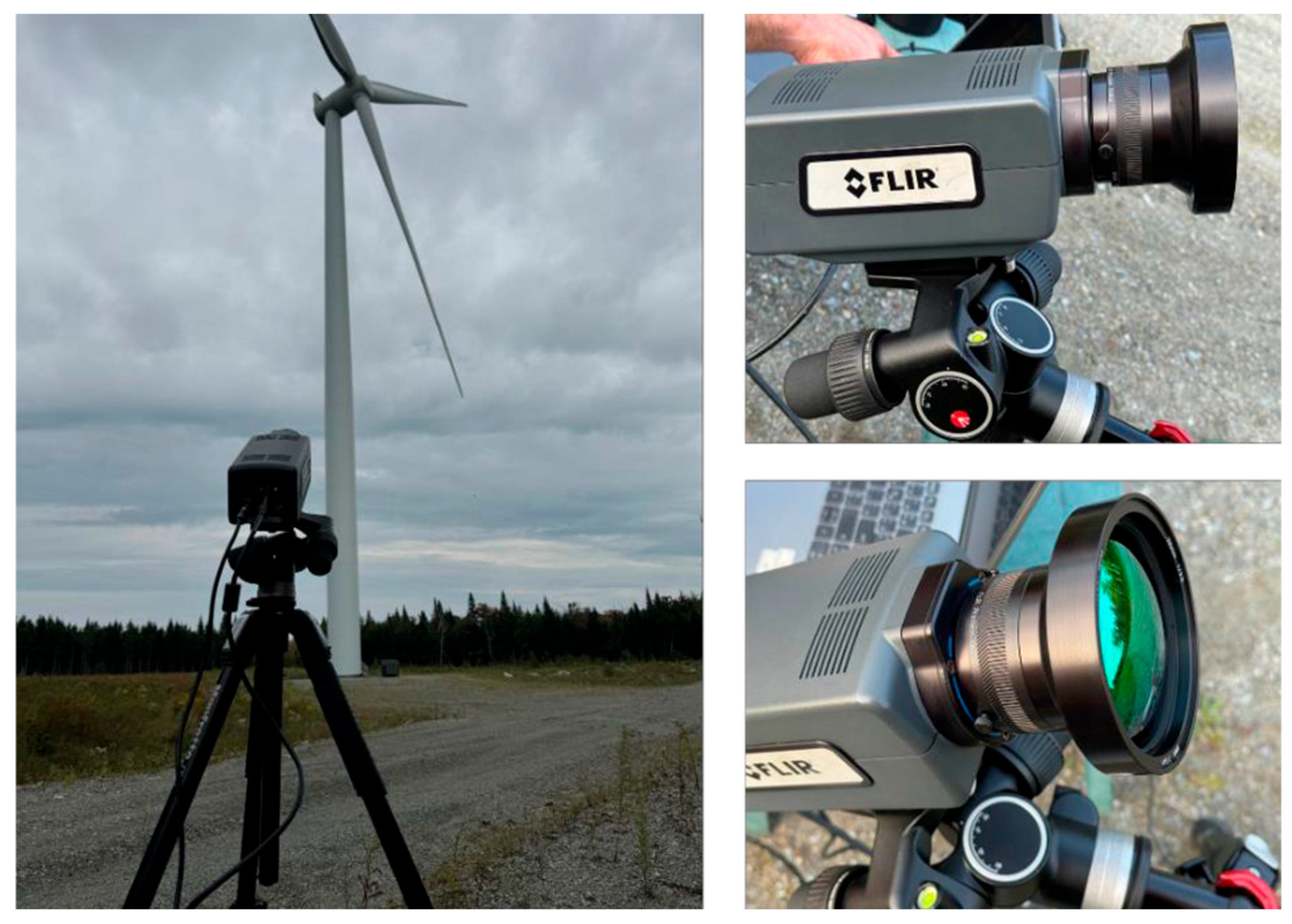 Proceedings 129 00042 g004