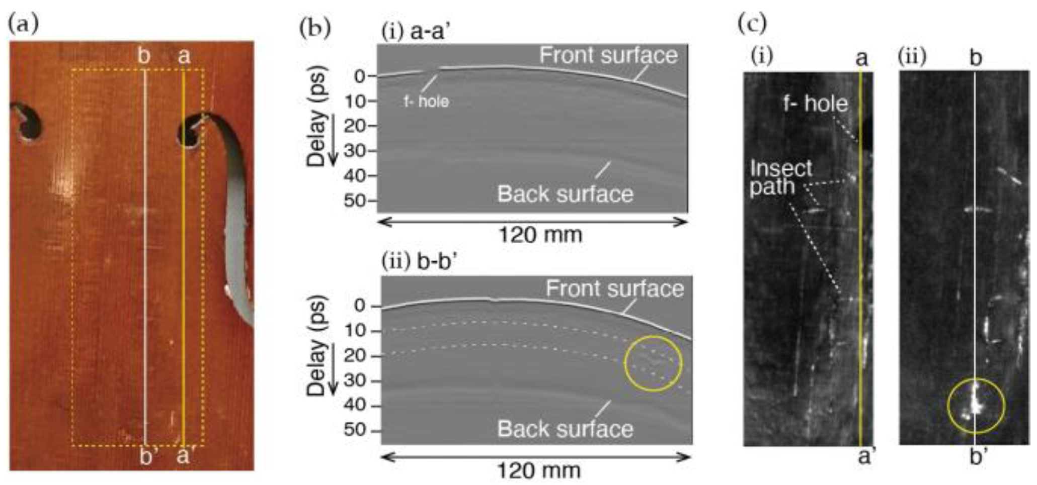 Proceedings 129 00044 g003 Proceedings 129 00044 g003