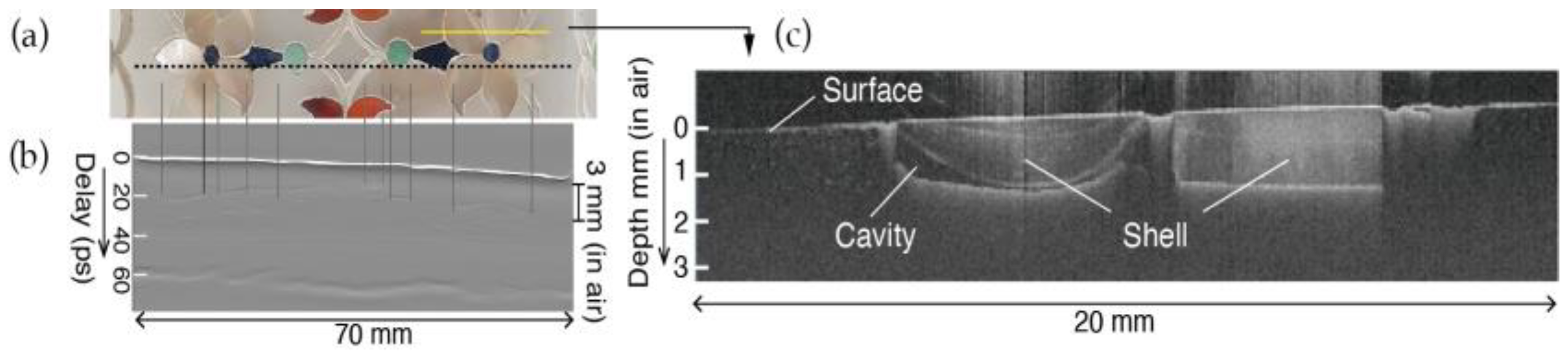 Proceedings 129 00044 g005 Proceedings 129 00044 g005