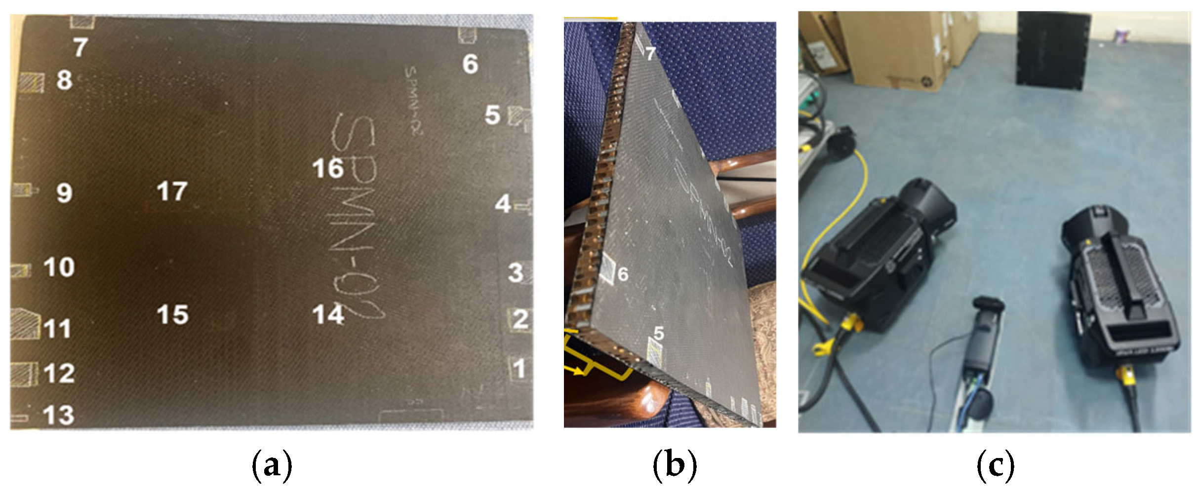 Proceedings 129 00056 g002