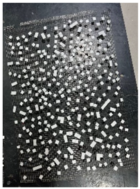 Proceedings 129 00063 i001