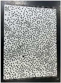 Proceedings 129 00063 i004