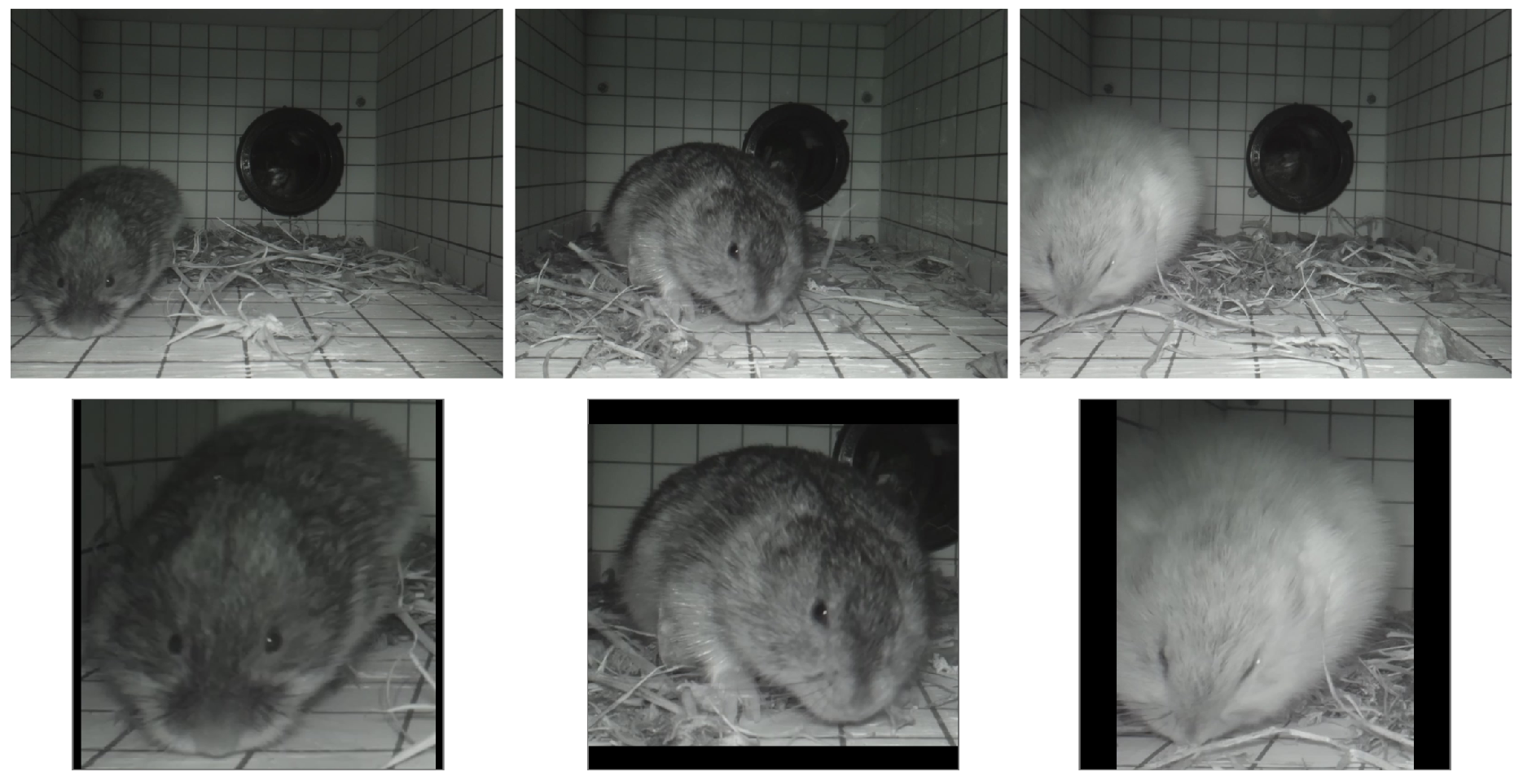 Proceedings 129 00065 g001 Proceedings 129 00065 g001