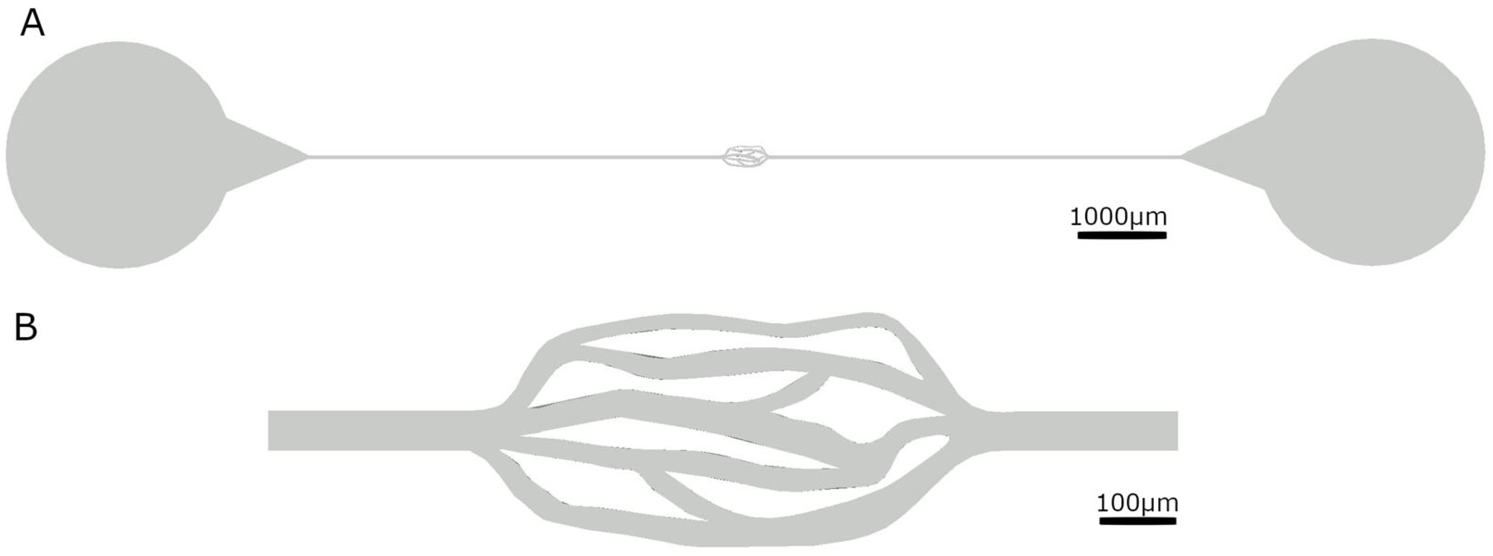 Proceedings 132 00002 g001