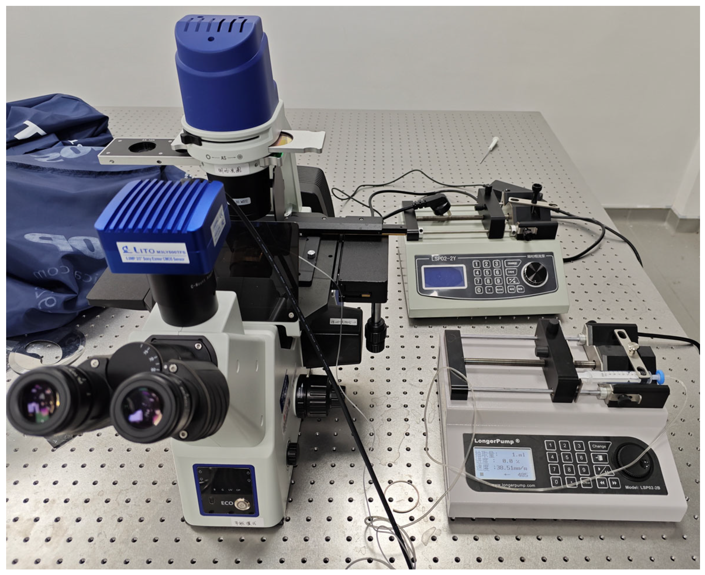 Proceedings 132 00002 g005