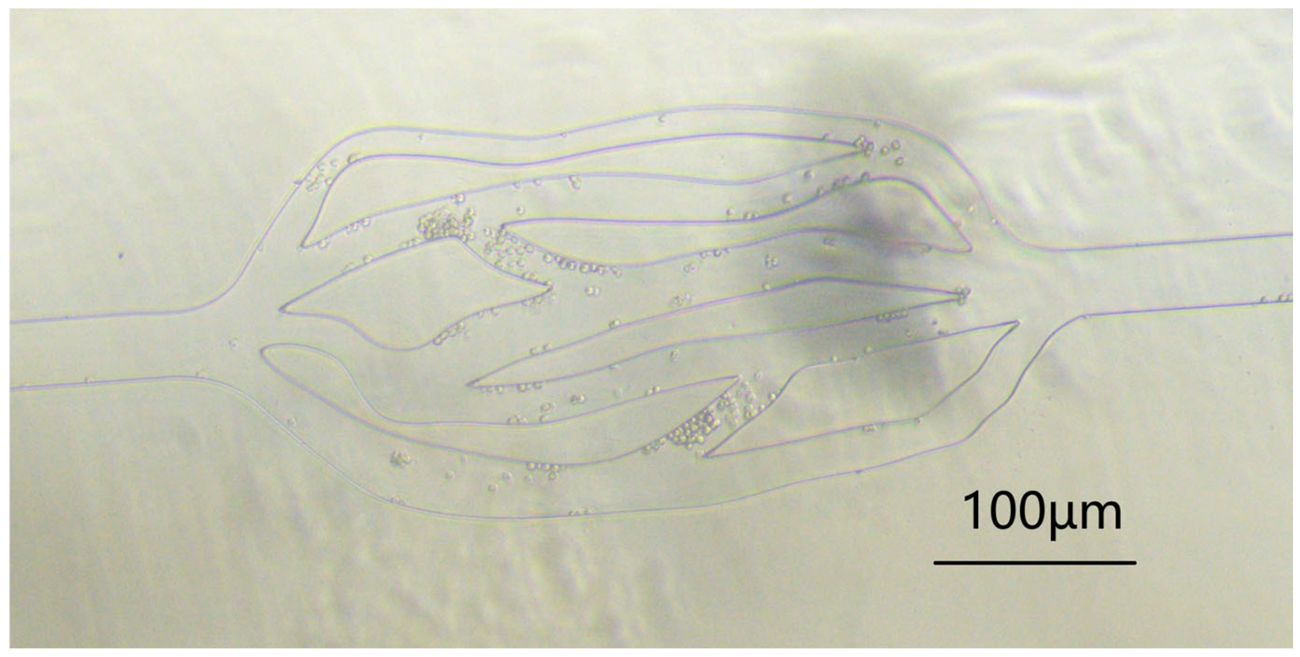 Proceedings 132 00002 g006