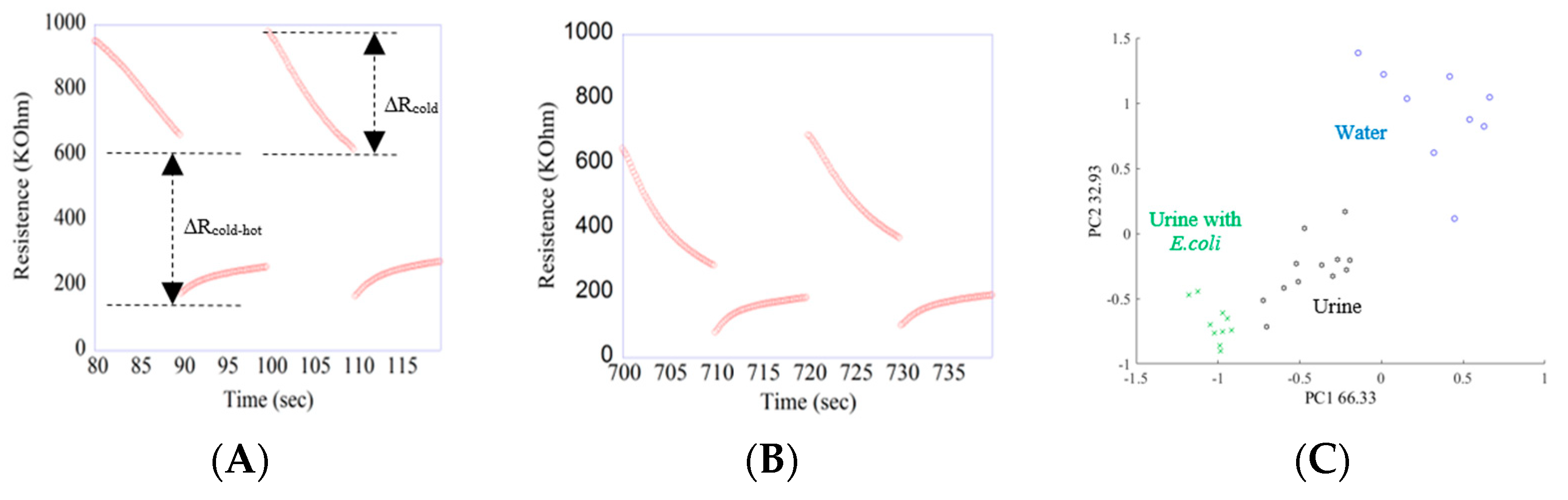 Proceedings 14 00003 g001