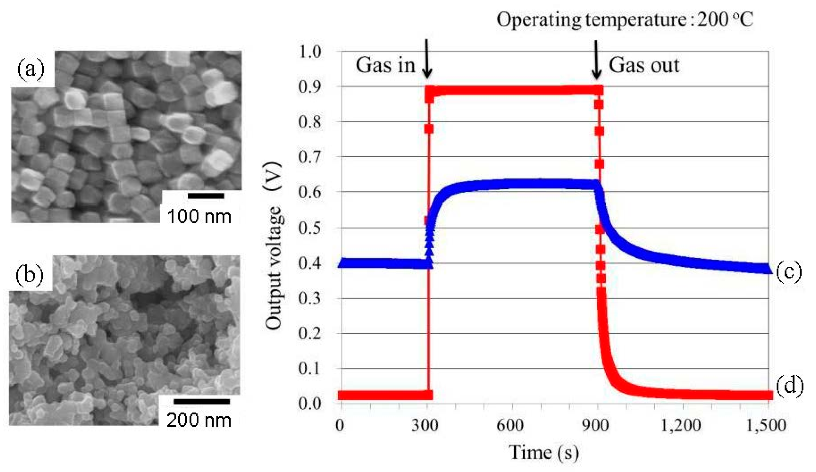 Proceedings 14 00007 g002