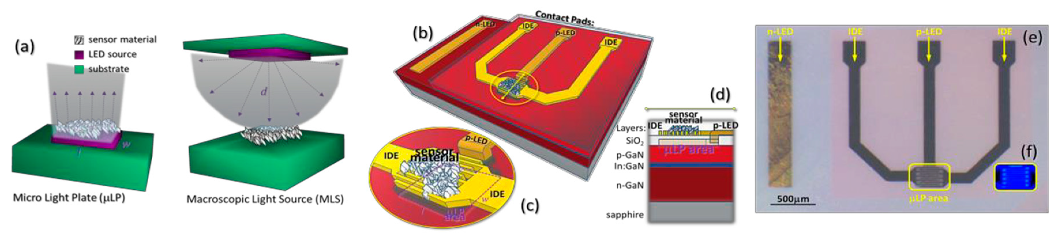 Proceedings 14 00008 g001