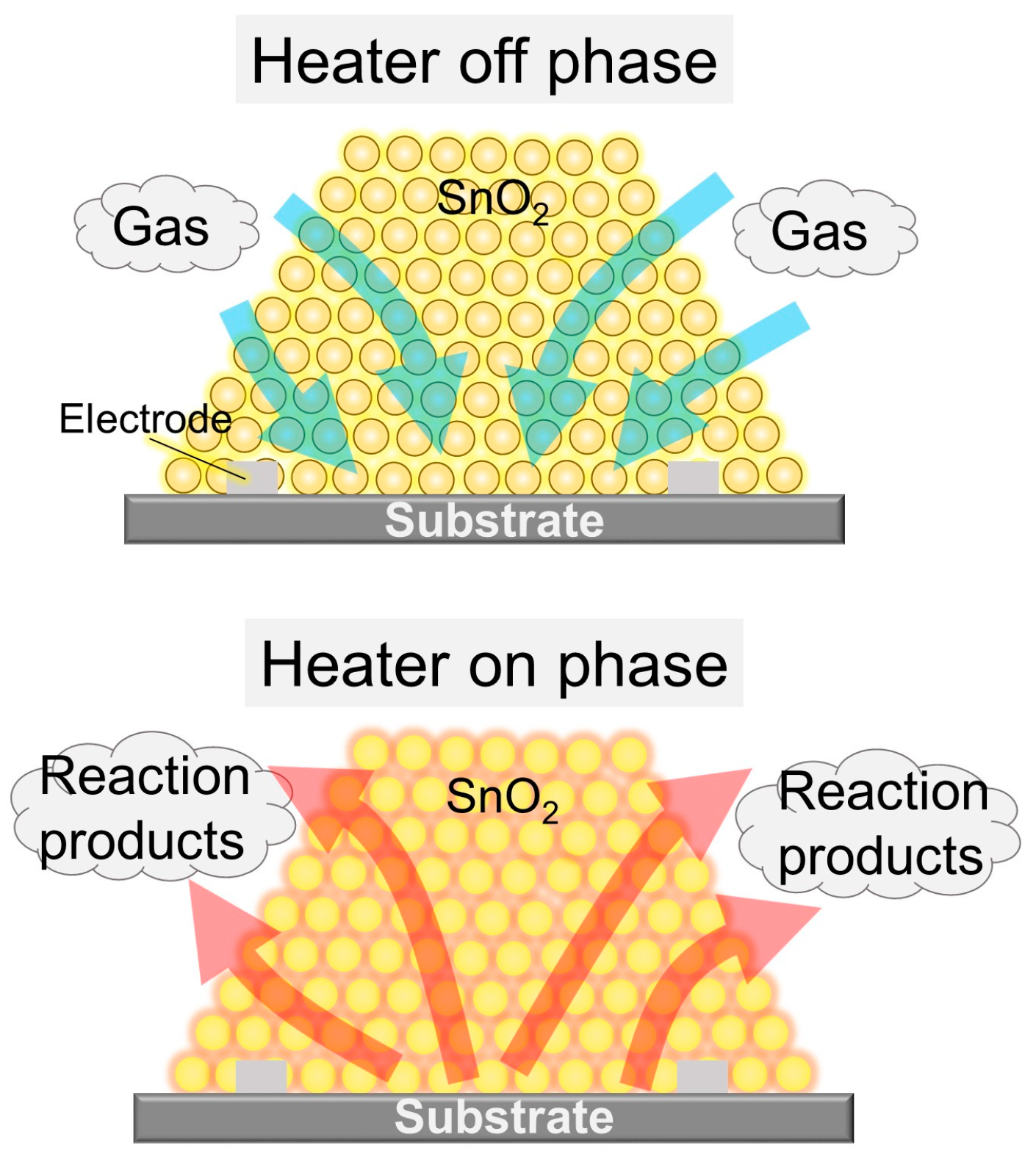 Proceedings 14 00024 g001