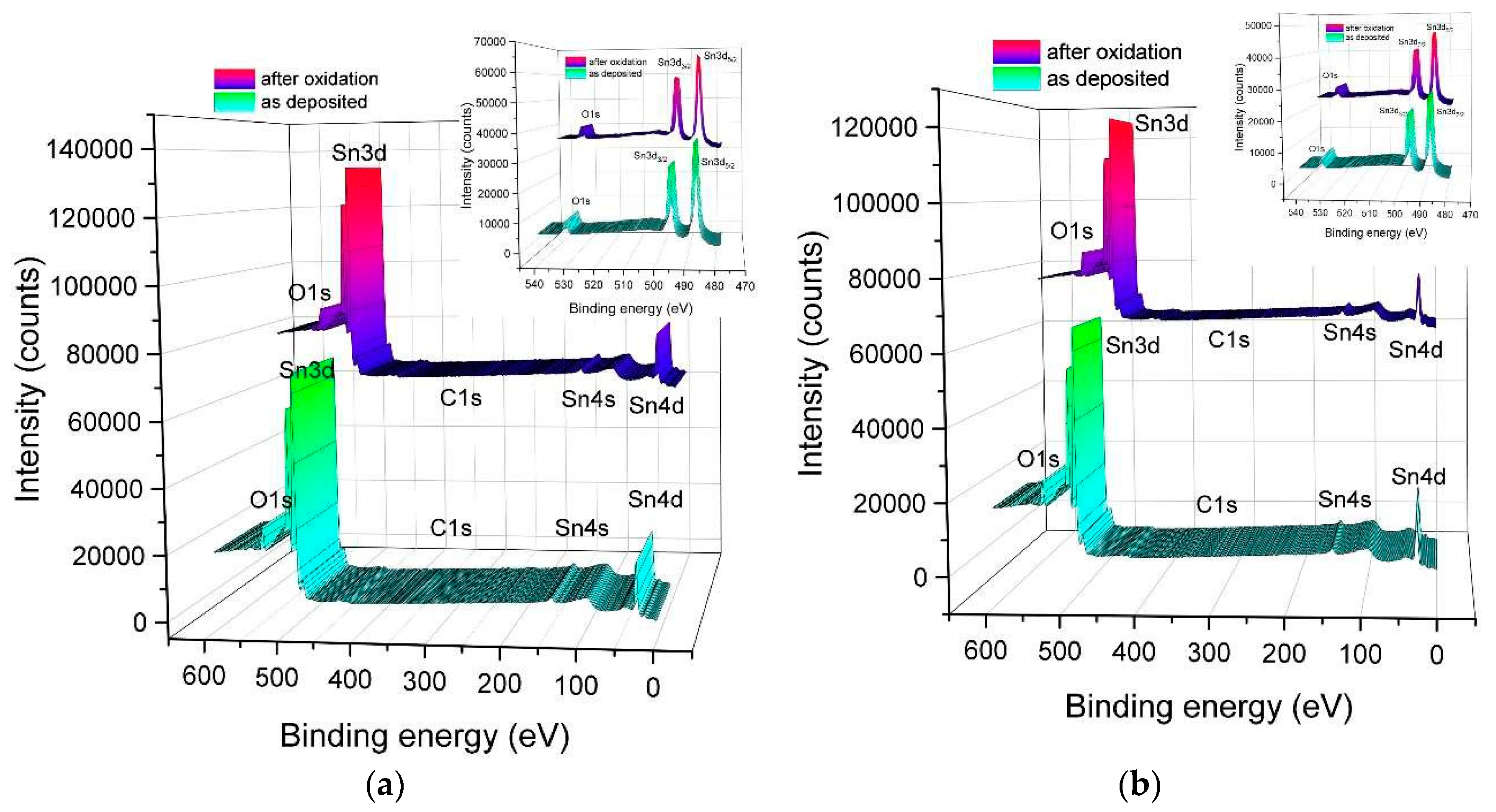 Proceedings 14 00025 g001