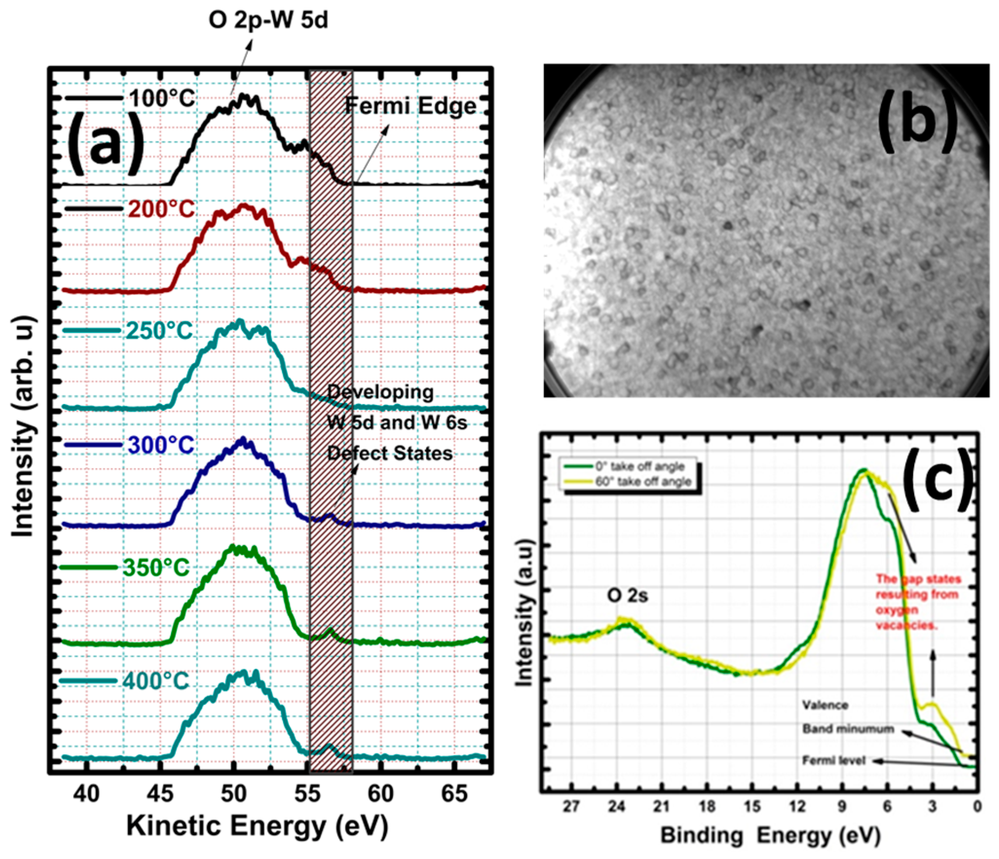 Proceedings 14 00027 g001