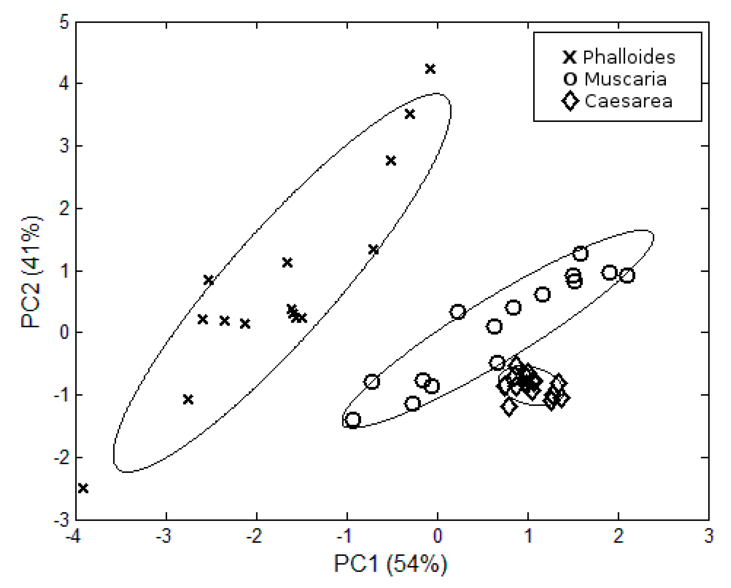 Proceedings 14 00033 g001