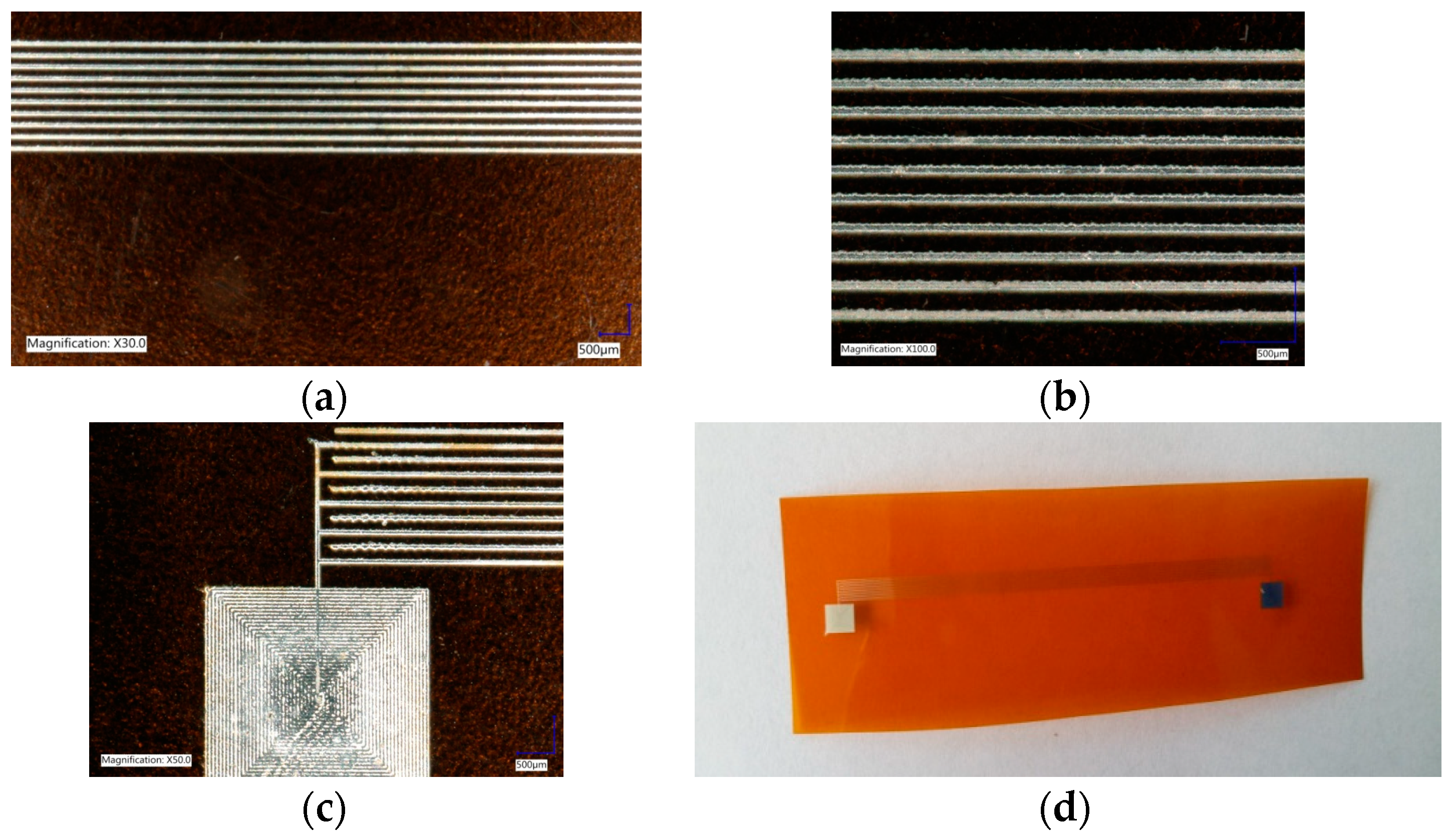 Proceedings 14 00040 g002