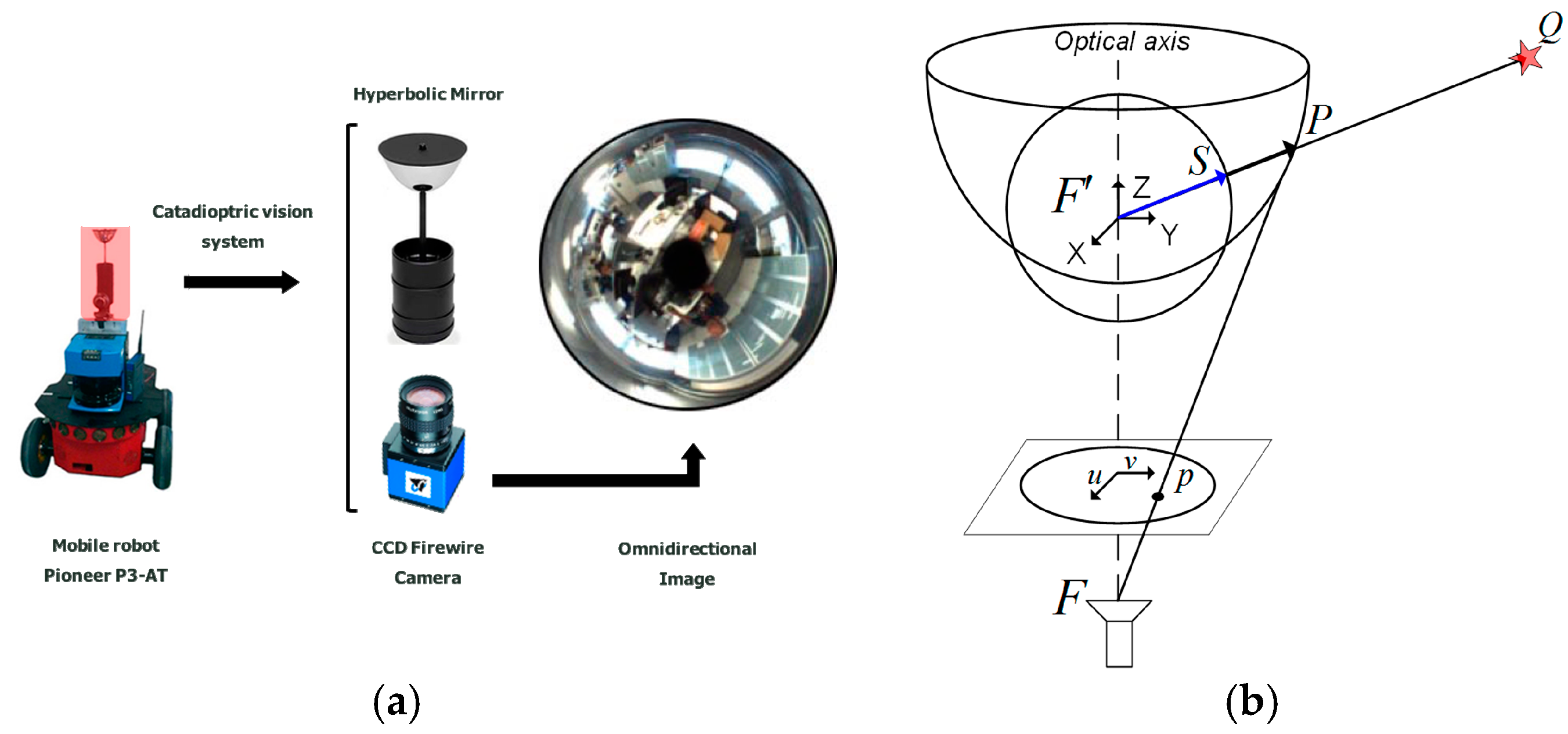 Proceedings 15 00002 g001