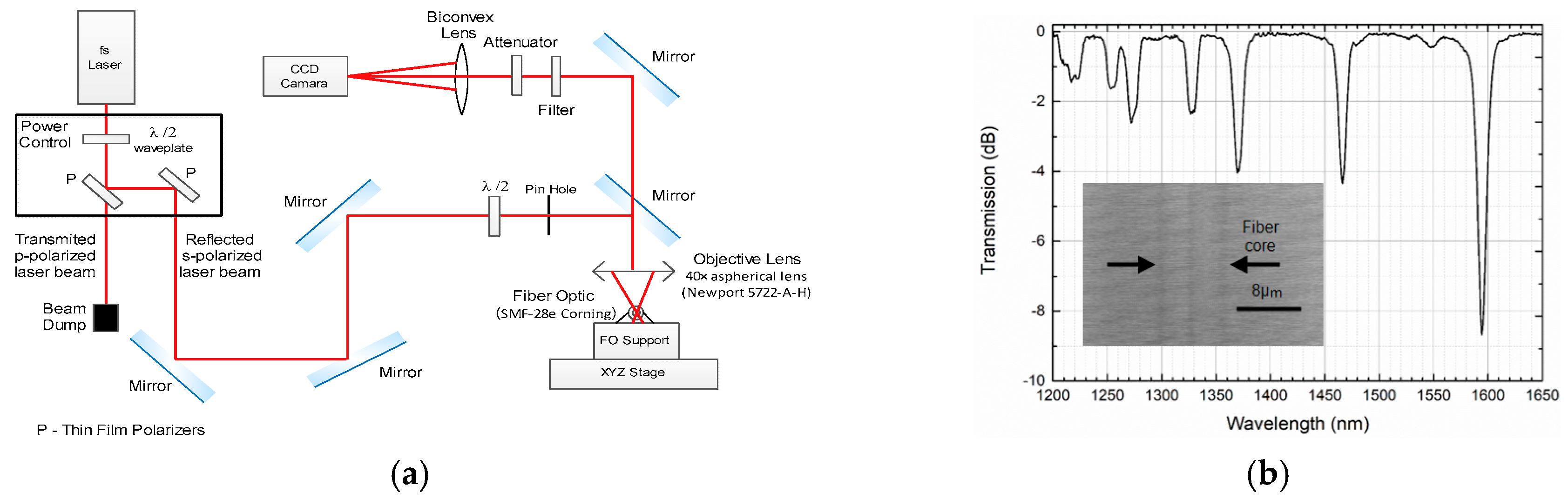 Proceedings 15 00004 g001