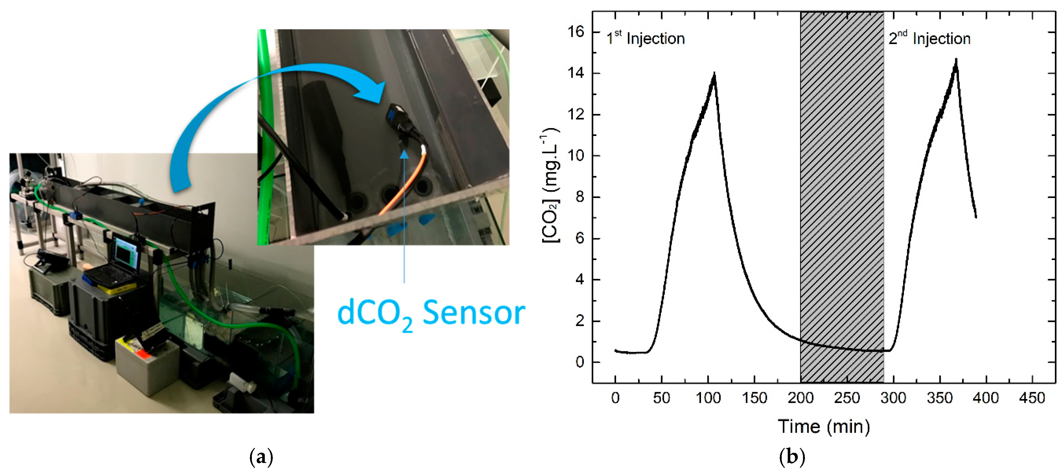 Proceedings 15 00005 g003