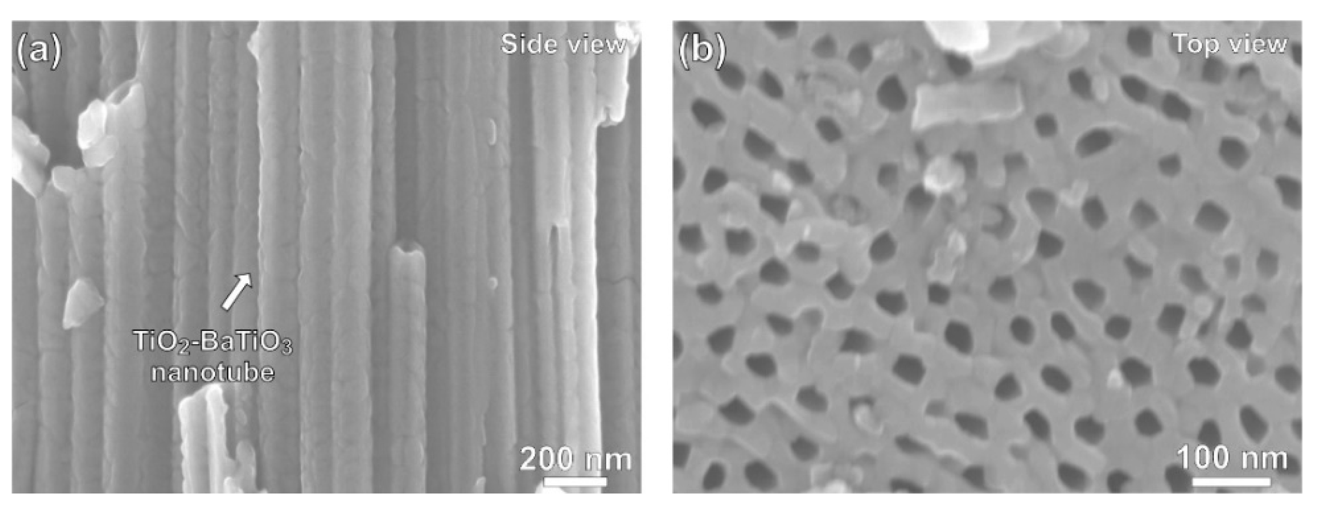 Proceedings 15 00009 g002
