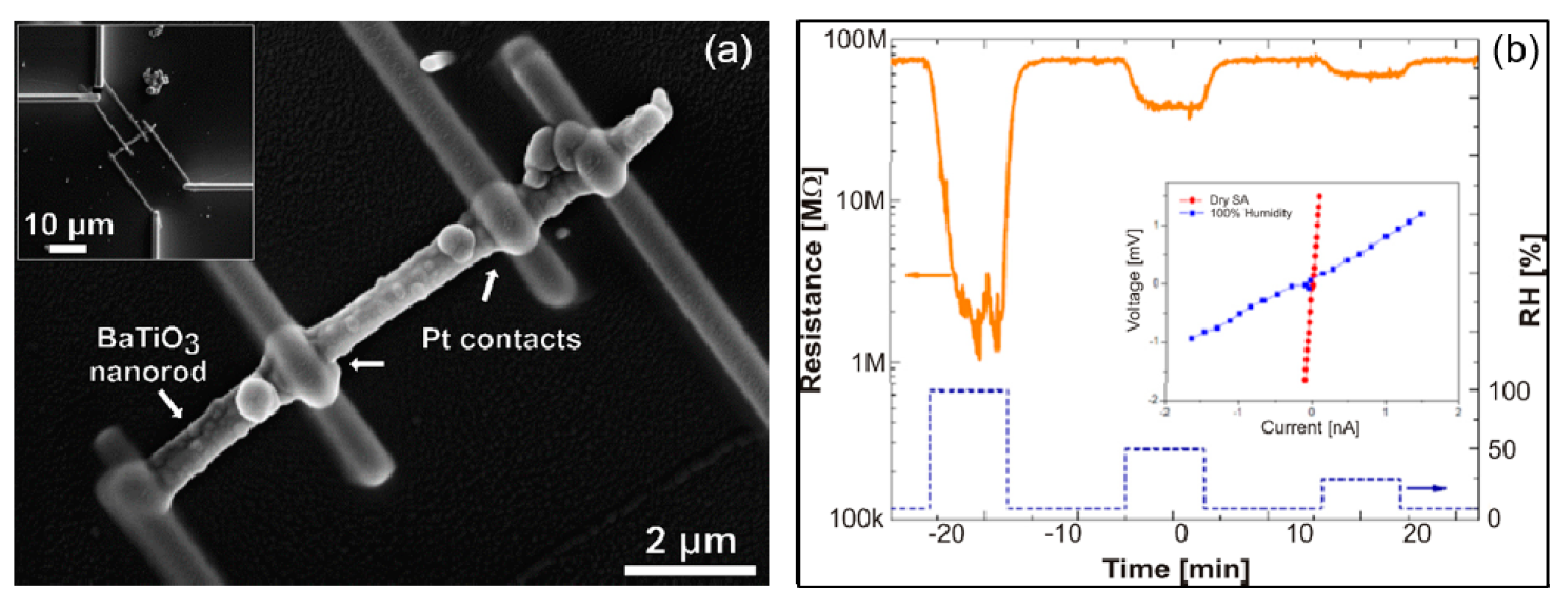 Proceedings 15 00009 g003