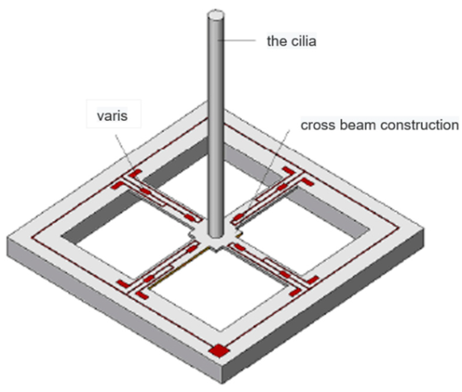 Proceedings 15 00011 g001