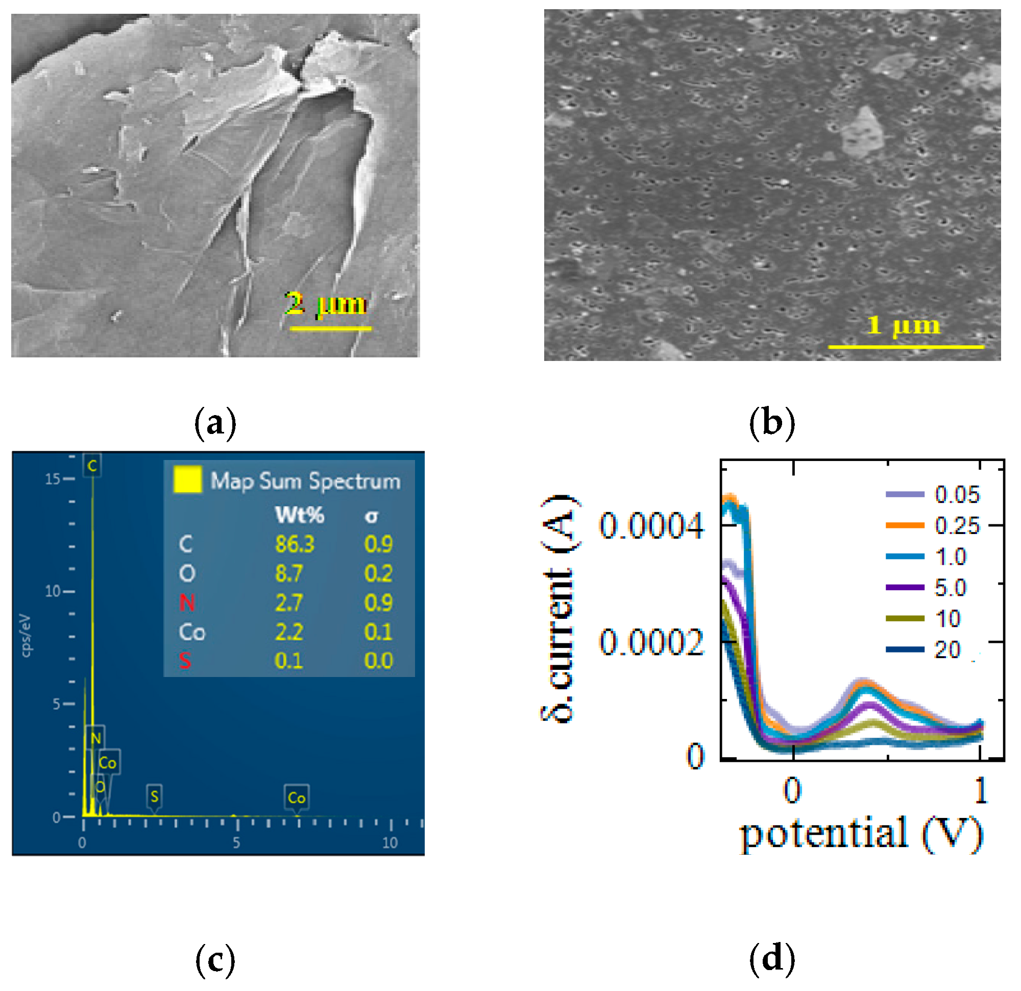 Proceedings 15 00018 g001