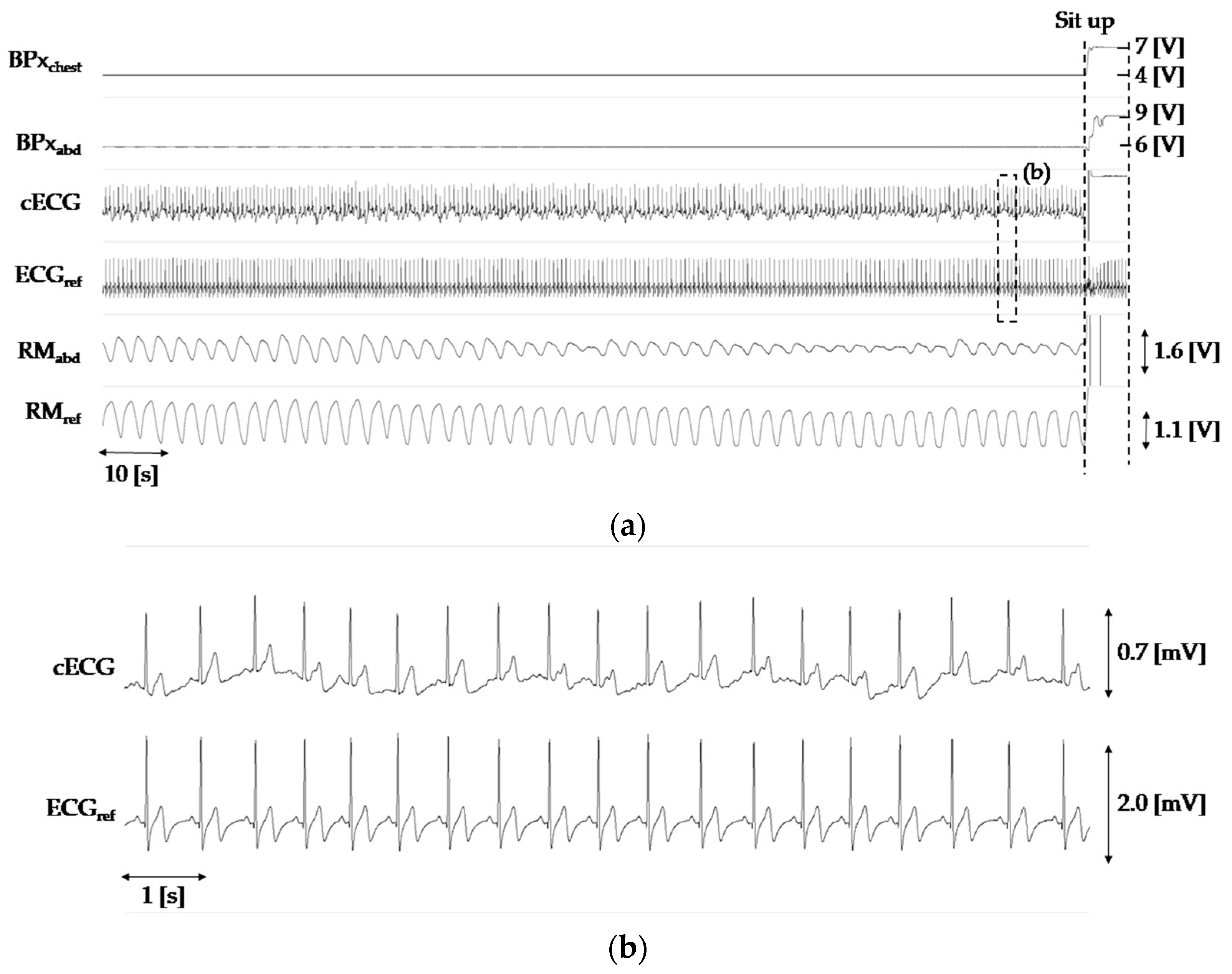 Proceedings 15 00019 g002
