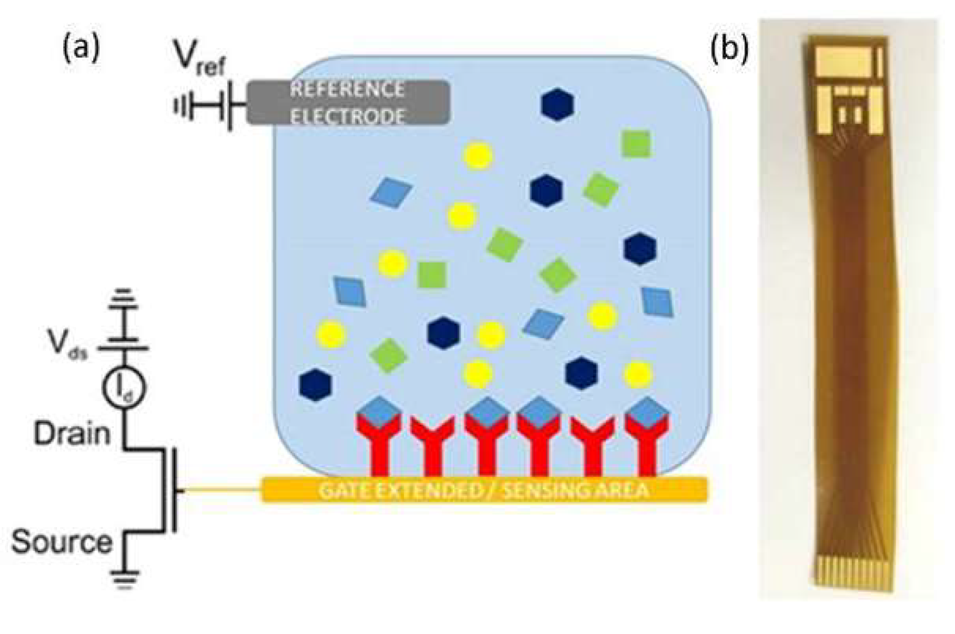 Proceedings 15 00032 g001