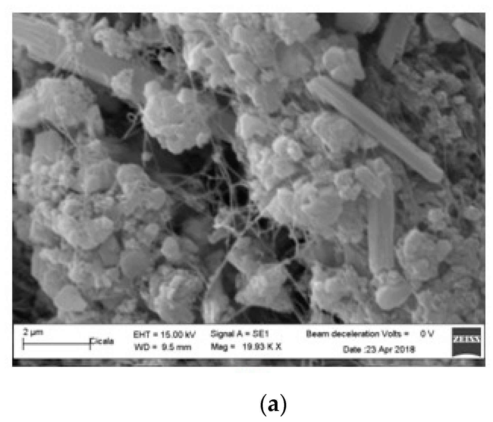 Proceedings 15 00036 g001a