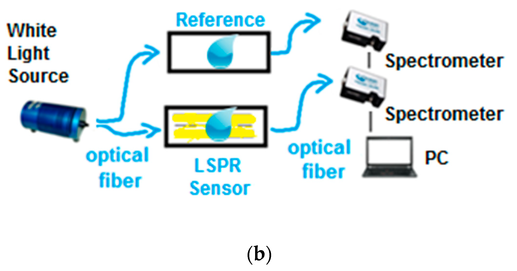 Proceedings 15 00036 g001b