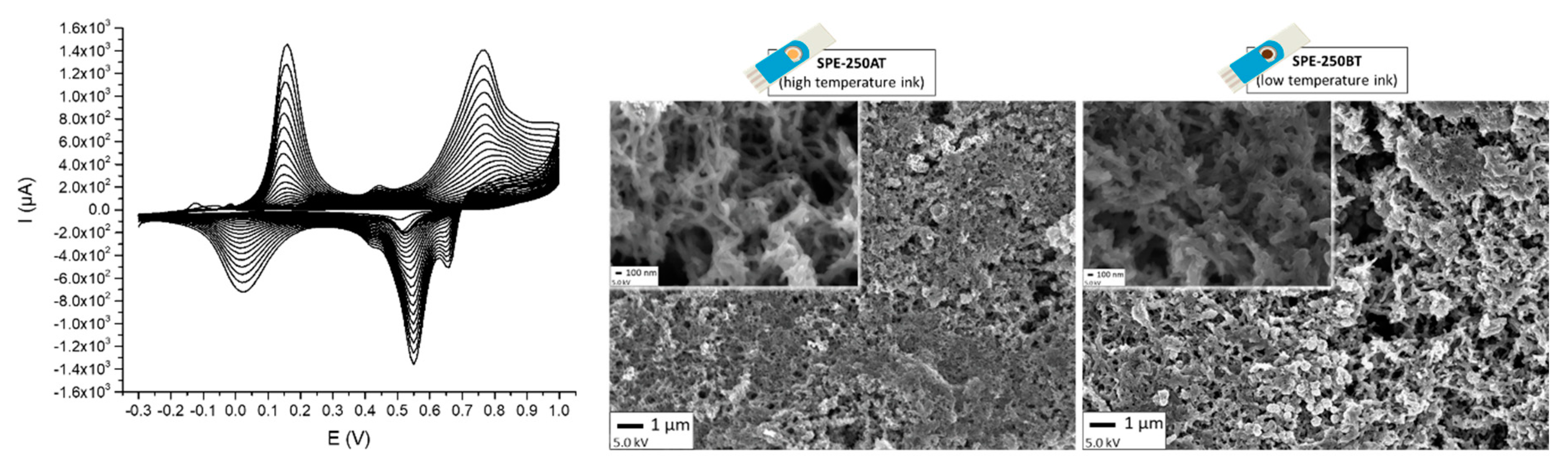 Proceedings 15 00037 g001
