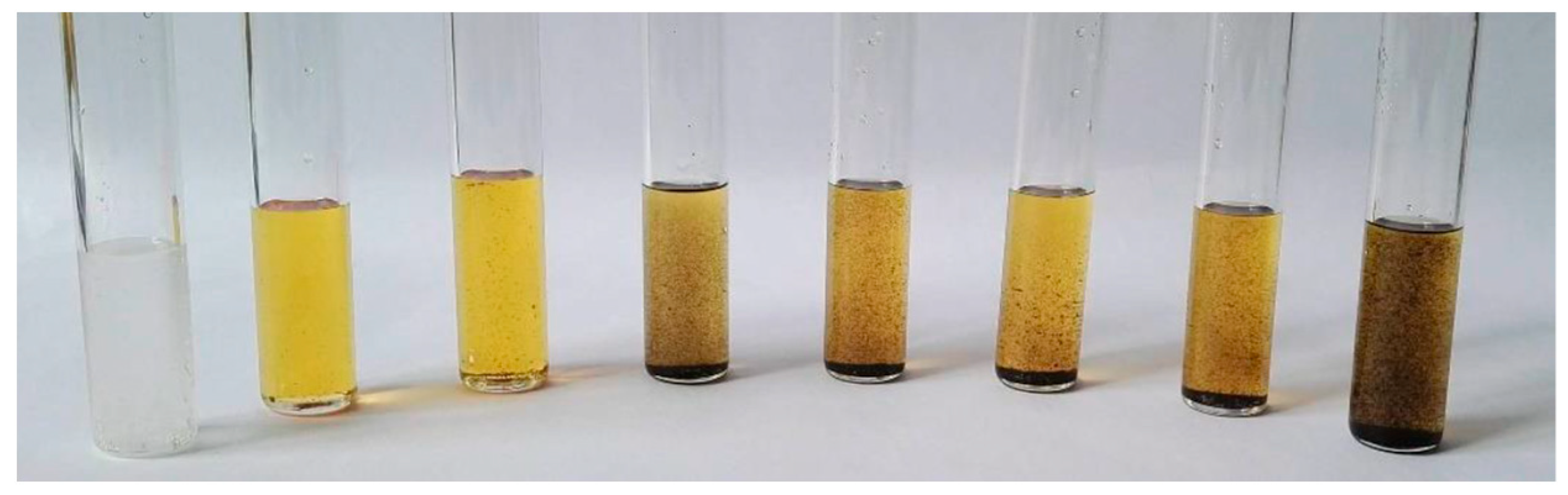 Proceedings 16 00005 g002