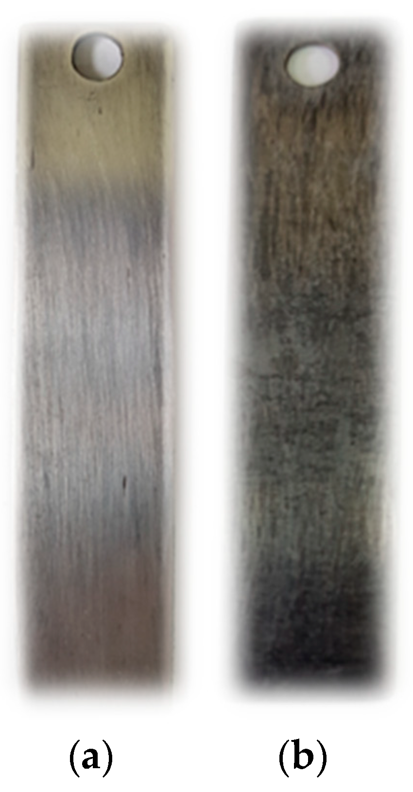 Proceedings 16 00005 g004