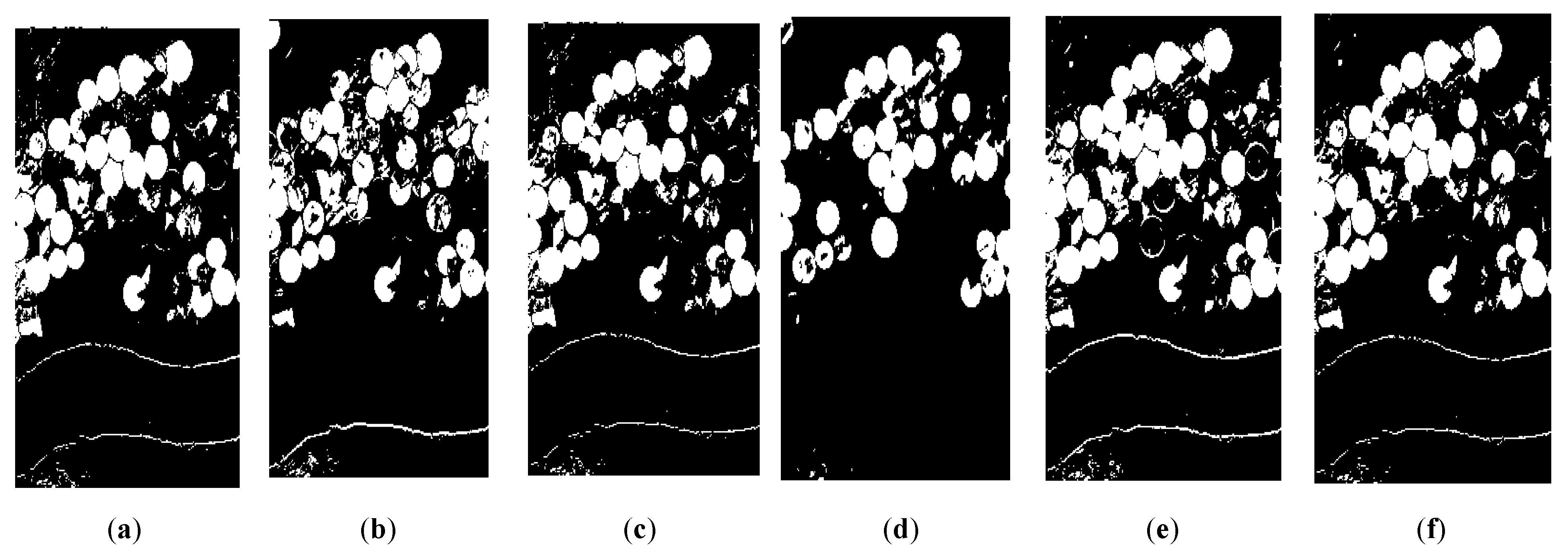 Proceedings 18 00008 g003