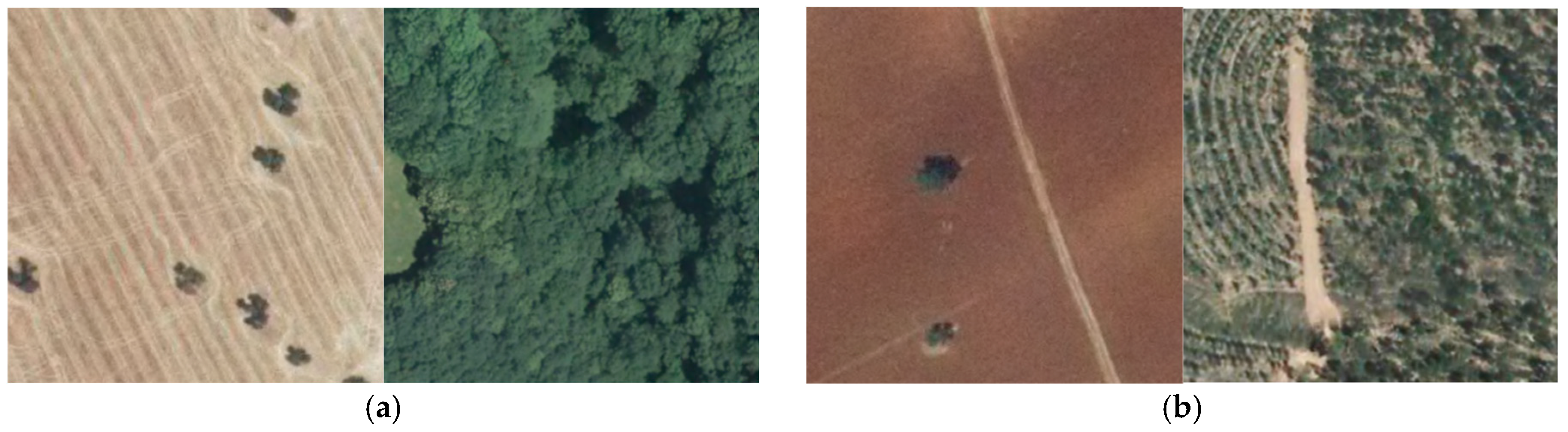 Proceedings 19 00017 g001